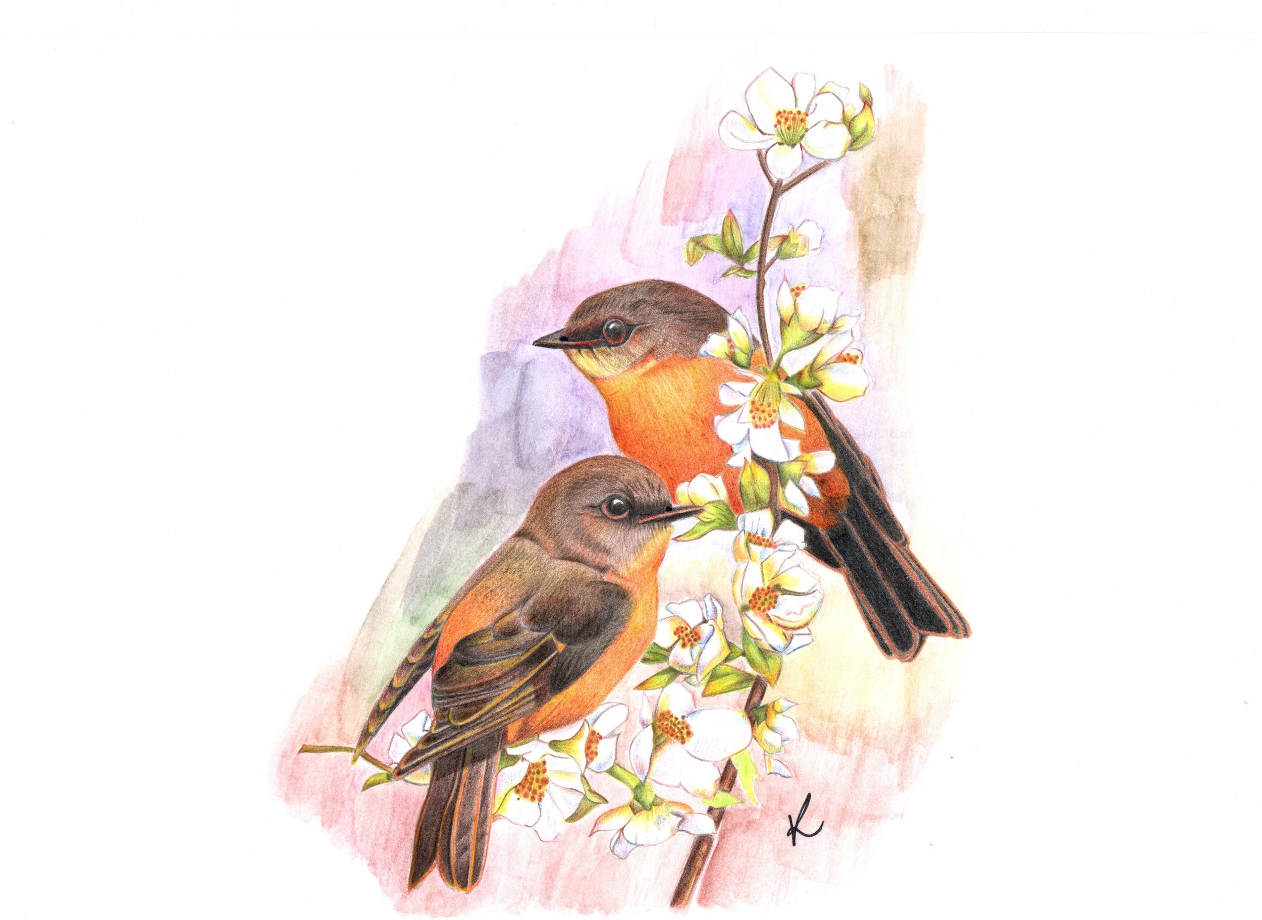 Birds on Valentine_s Day.jpeg