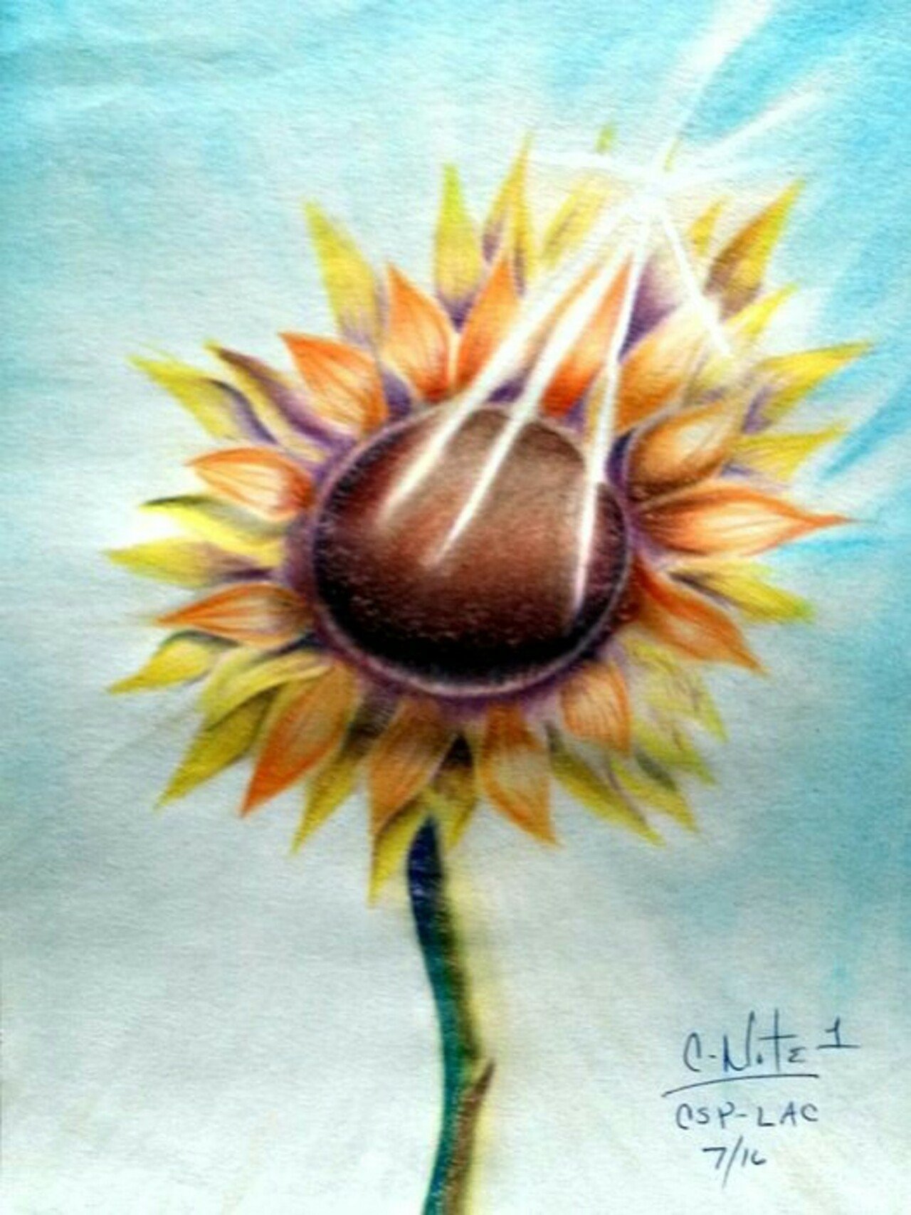 untitled-sunflower-by-c-note.jpg
