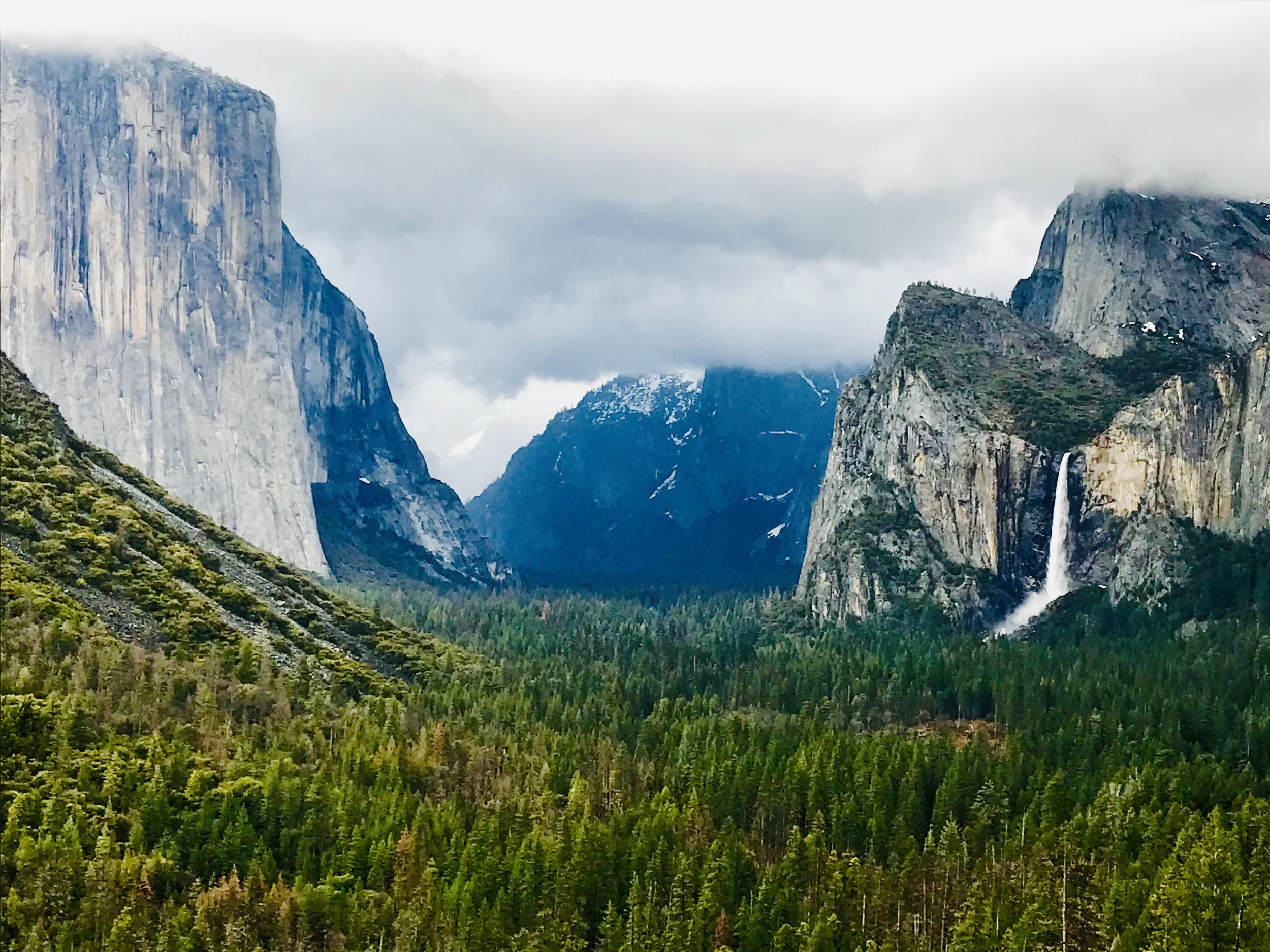 Yosemite Landscape