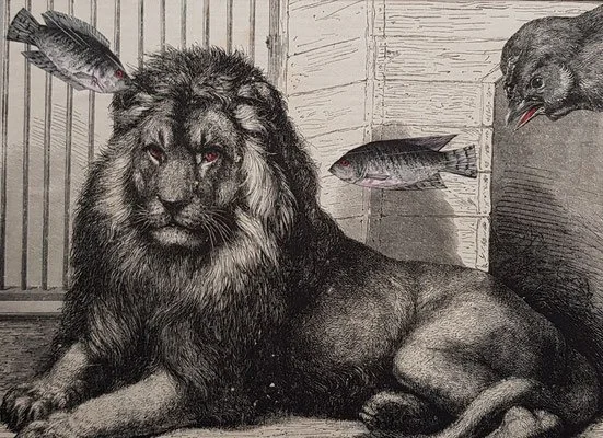 Interview — Your favorite place to discover new artists