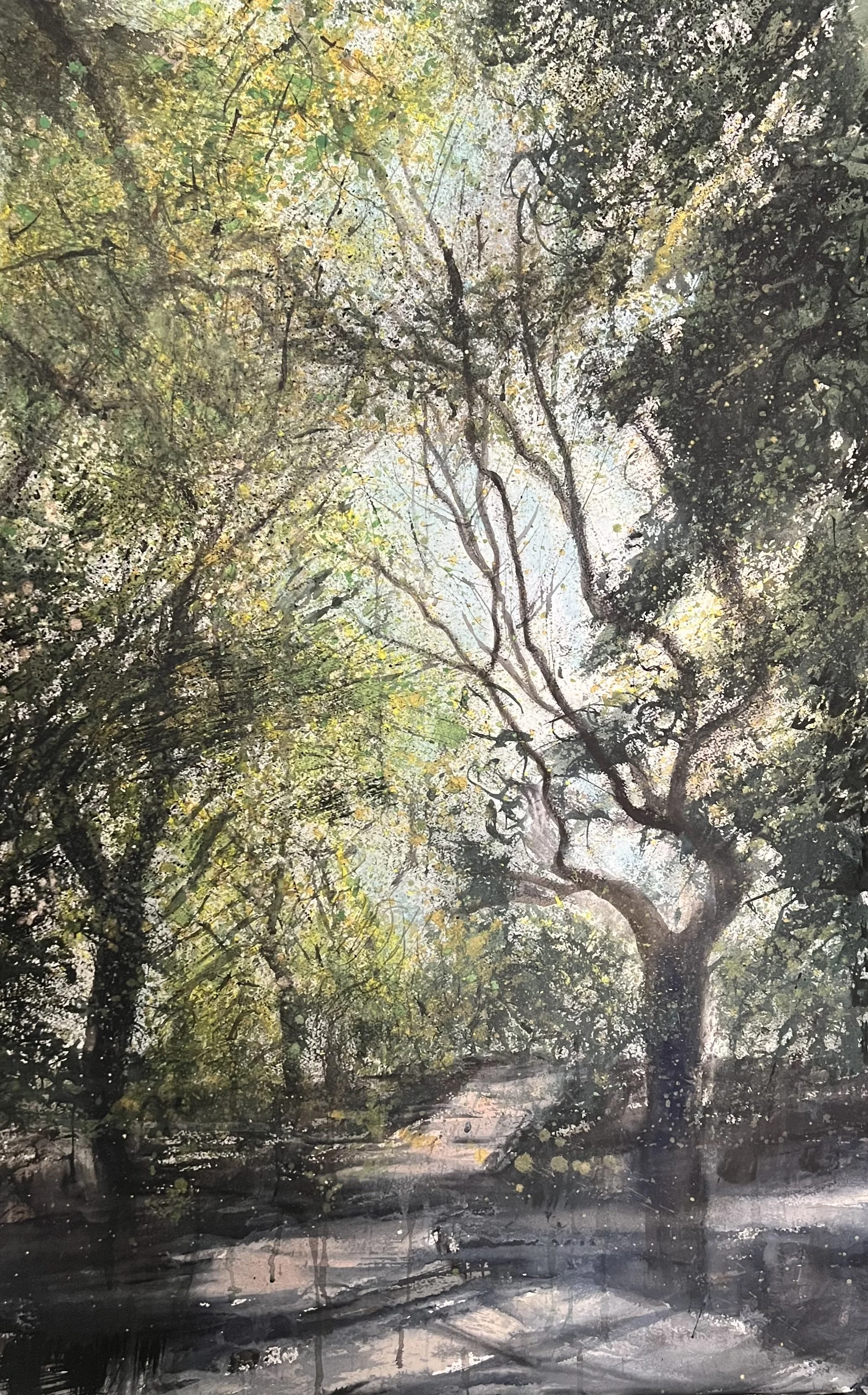  Path to The Garden, Late May