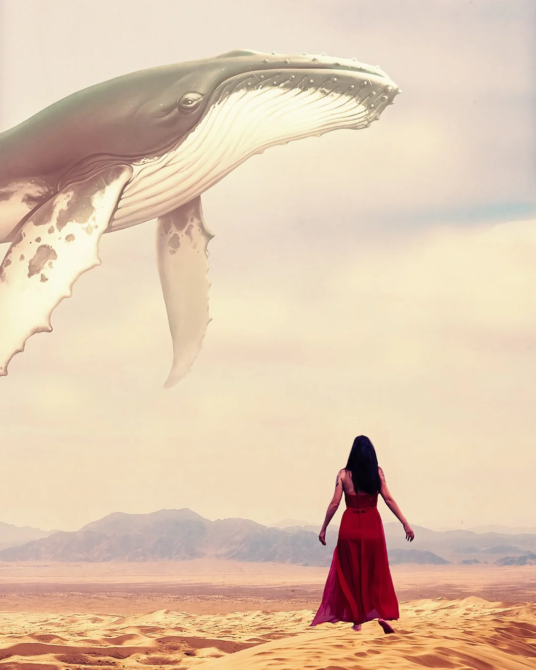 Where the sea forgot to fall
