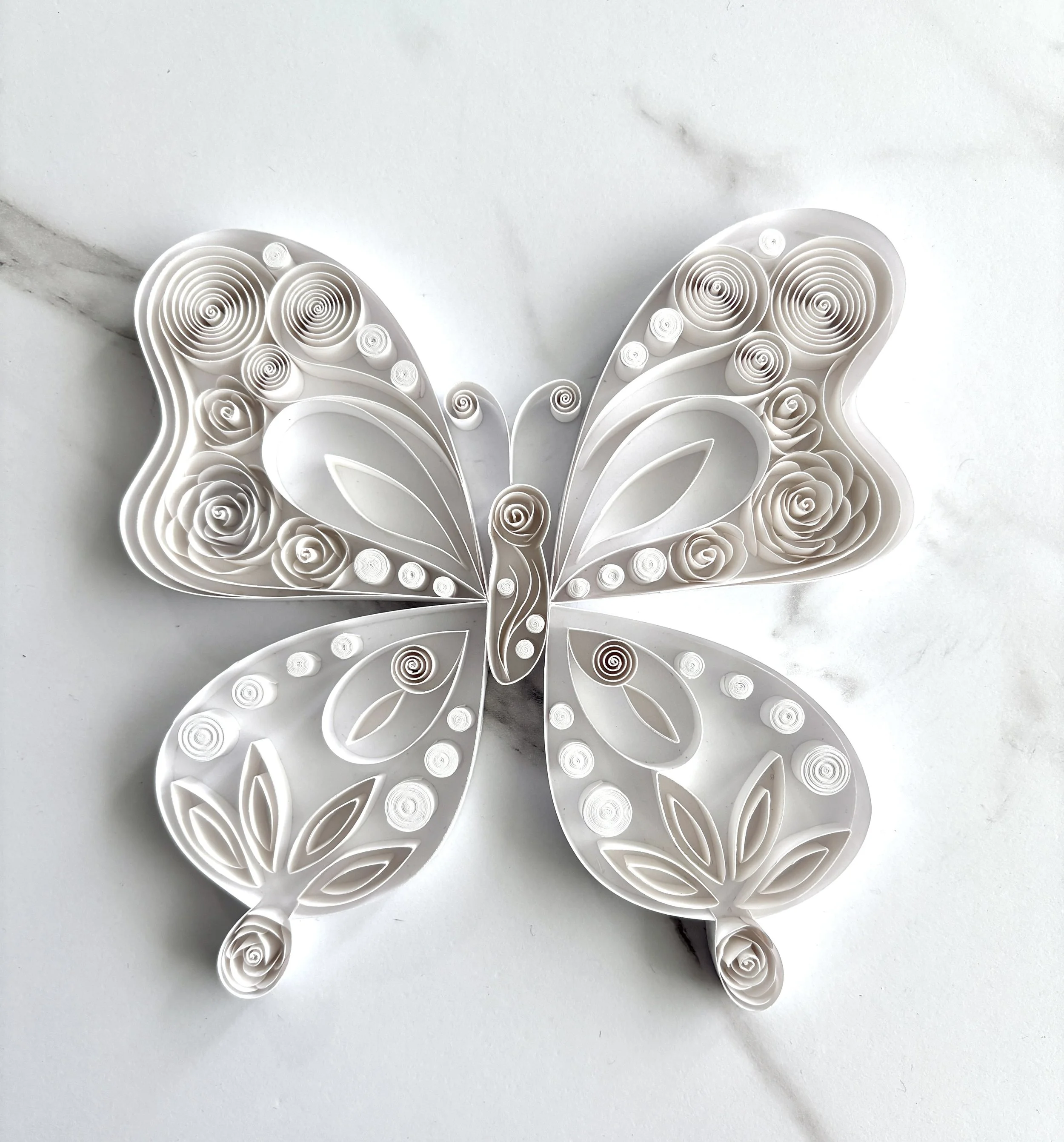 Spring Rose White Butterfly