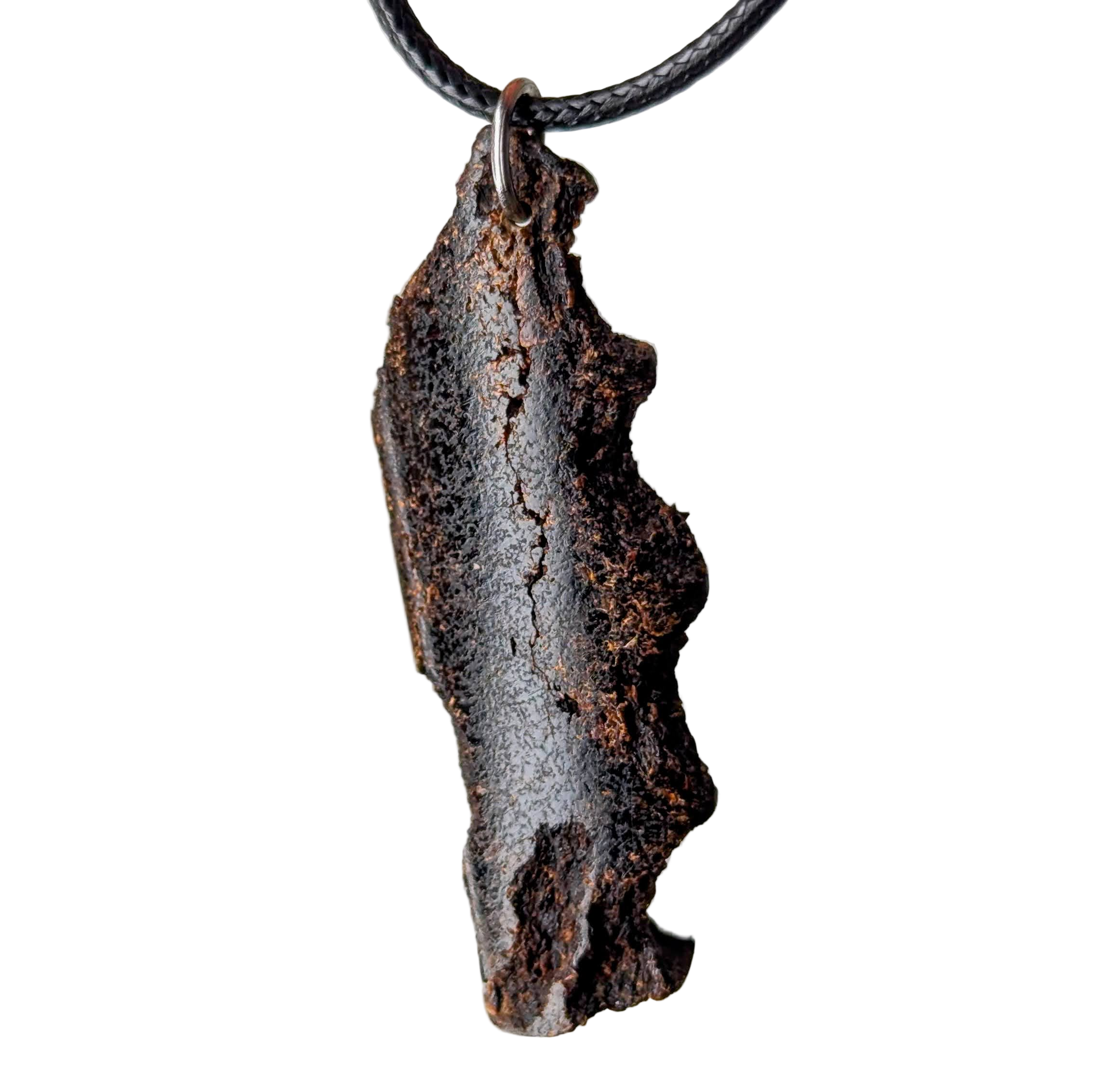 Copy of PXL_20250415_090057035.MP-EDIT.png