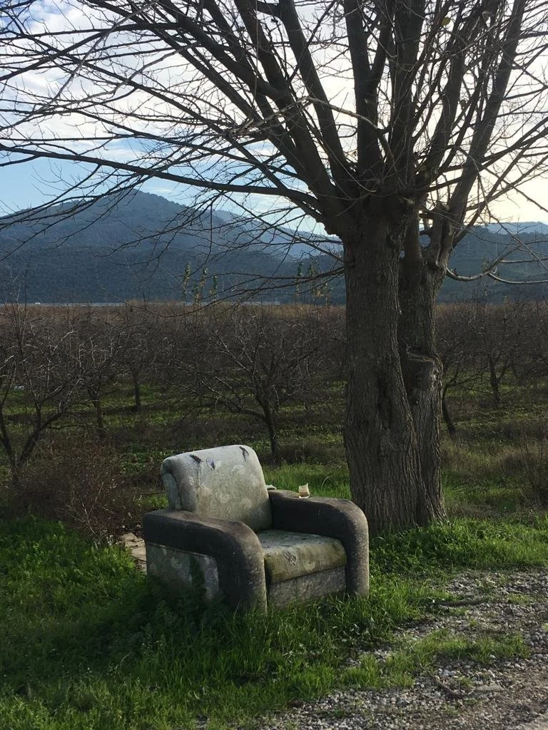 Couch3.jpg