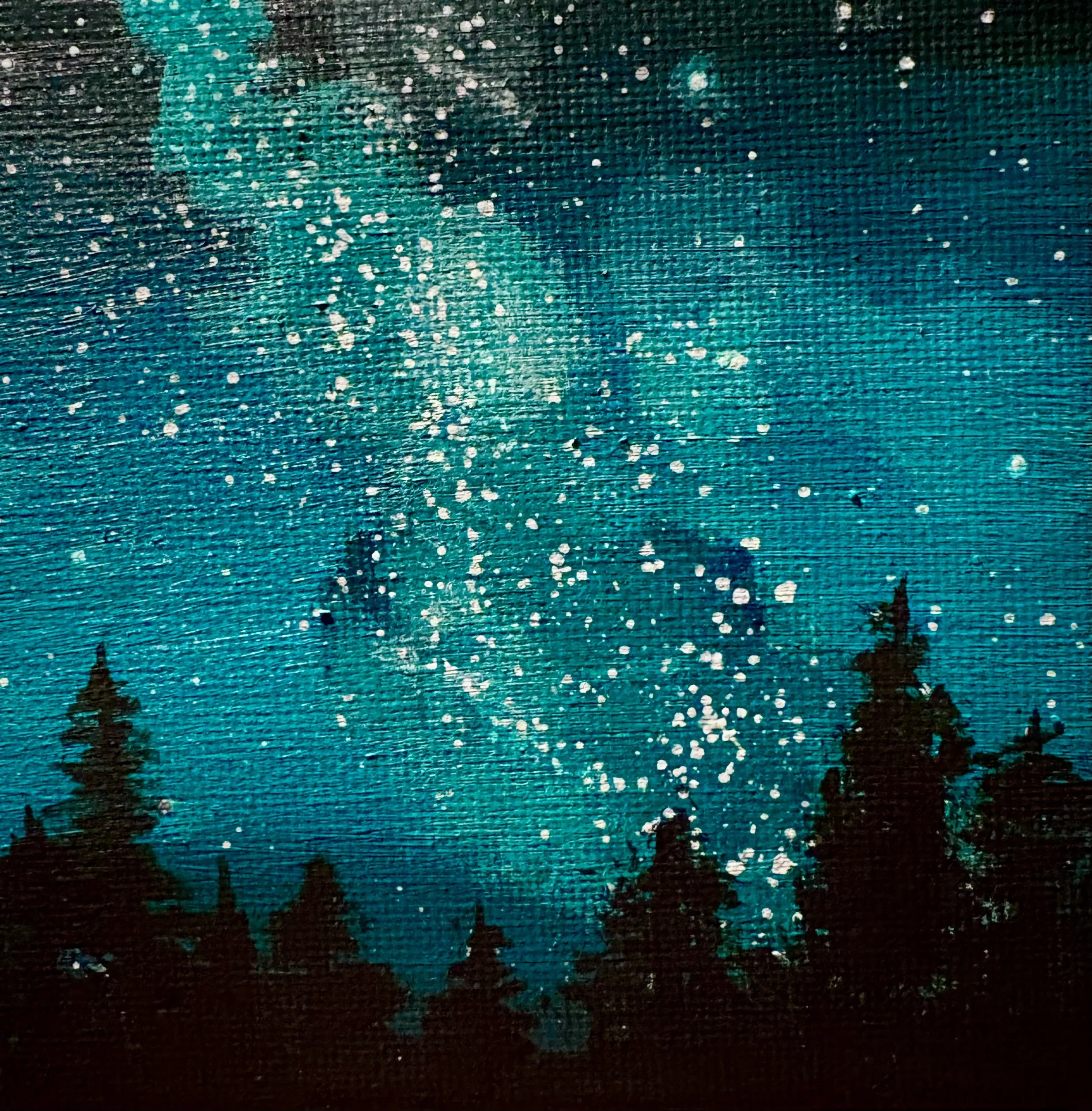  Northern Light Night