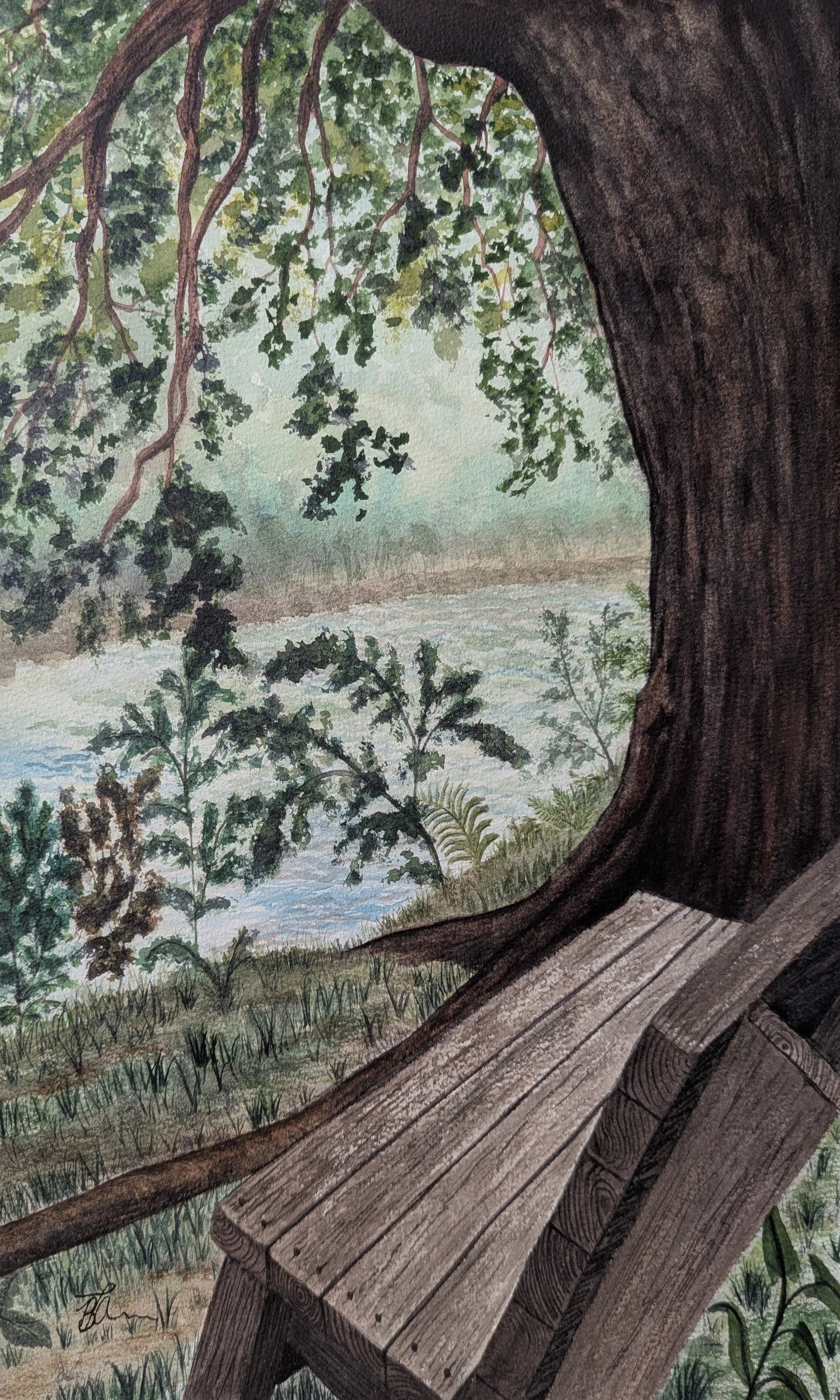  Watching the Meduxnekeag