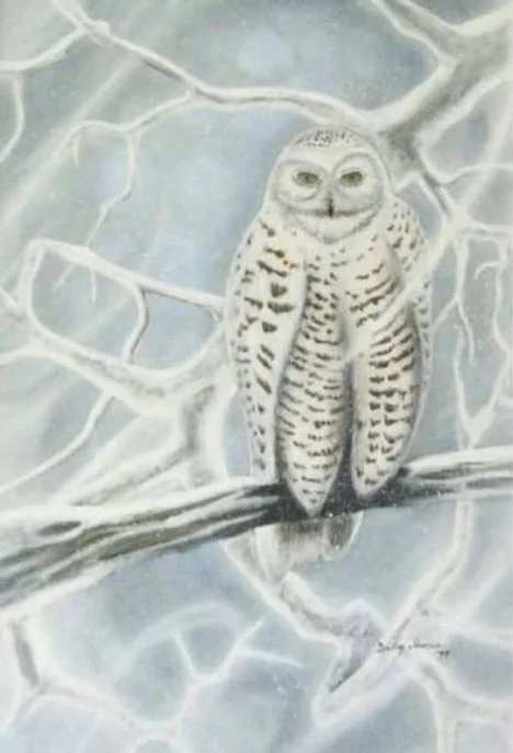 Snowy Owl, 24x48 inch stretch canvas painting. Acrylic airbrush