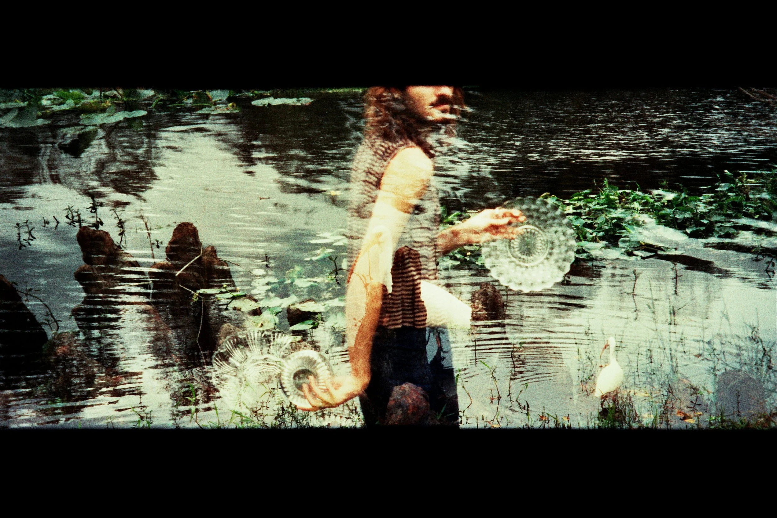  Dreams of Blanchard park