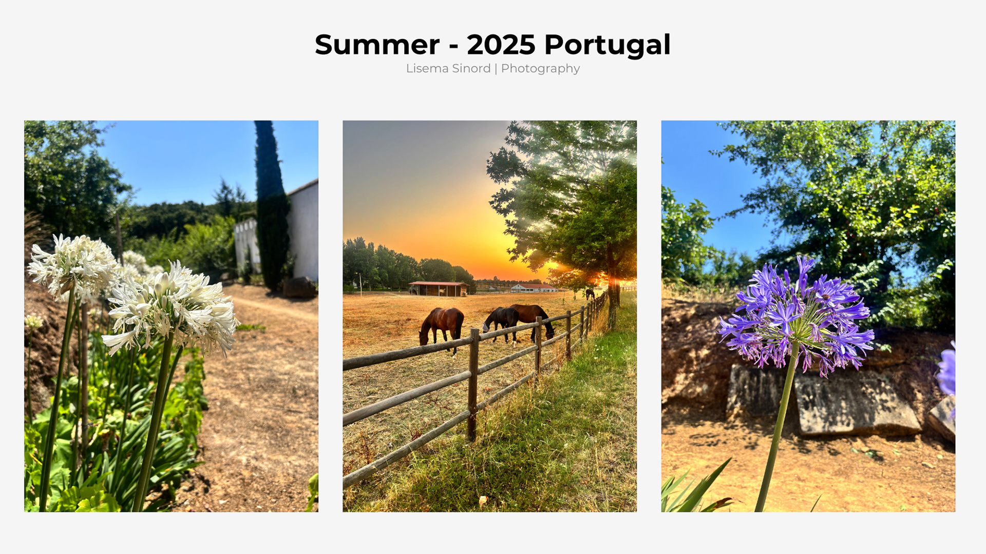 Summer In Portugal
