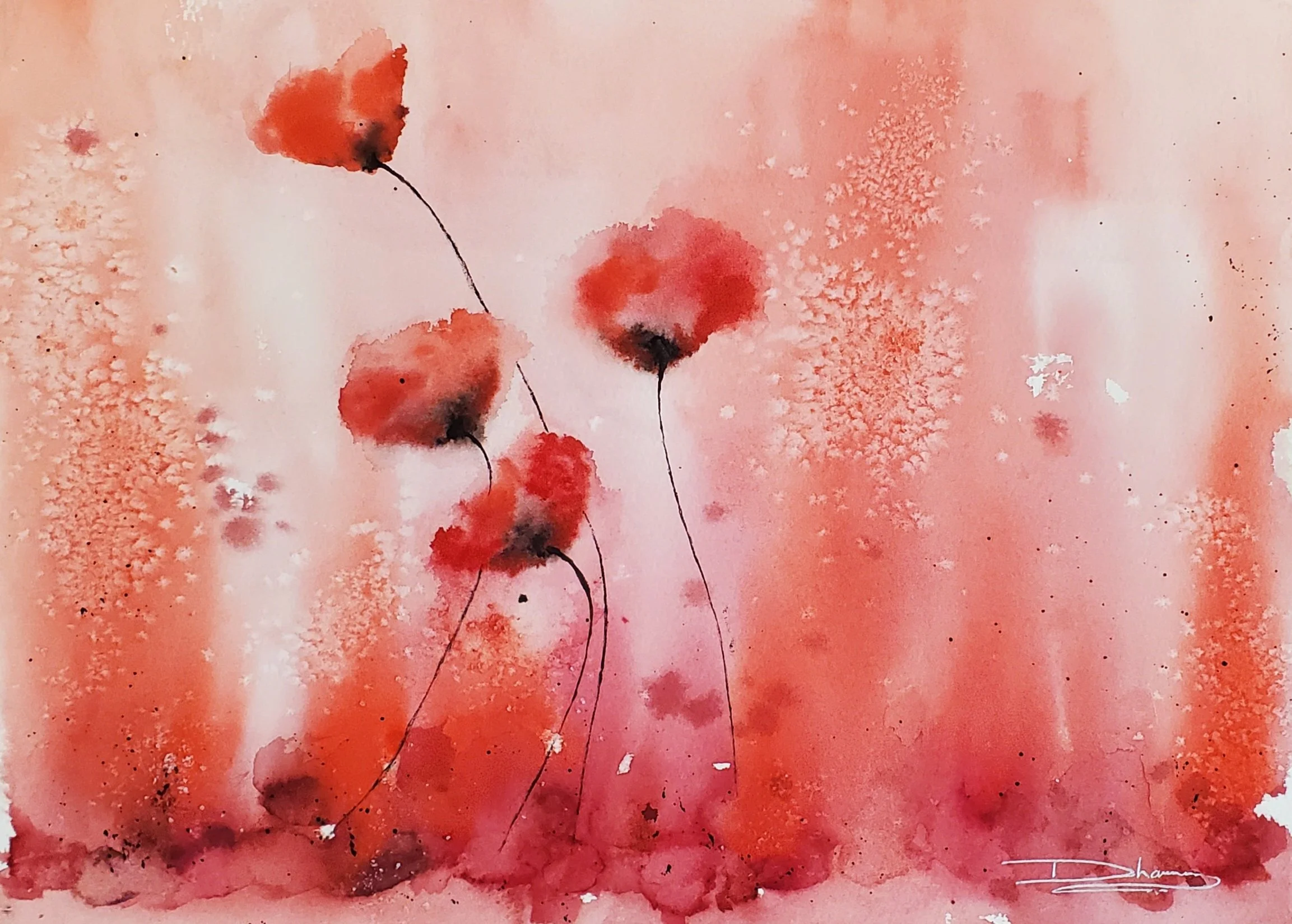 Poppies in the Mist
