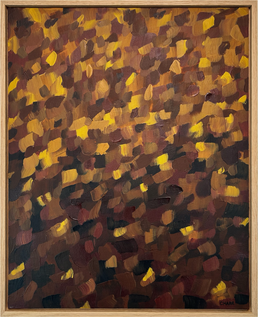  Into Sun-Dapped Woods I Hike