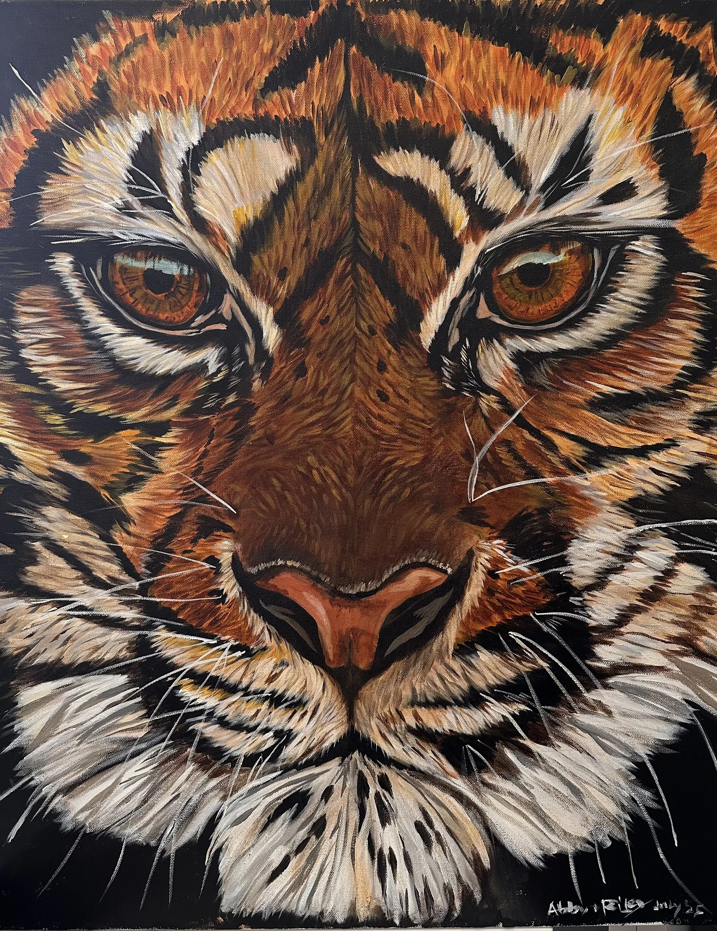 Up close and personal with a wild cat