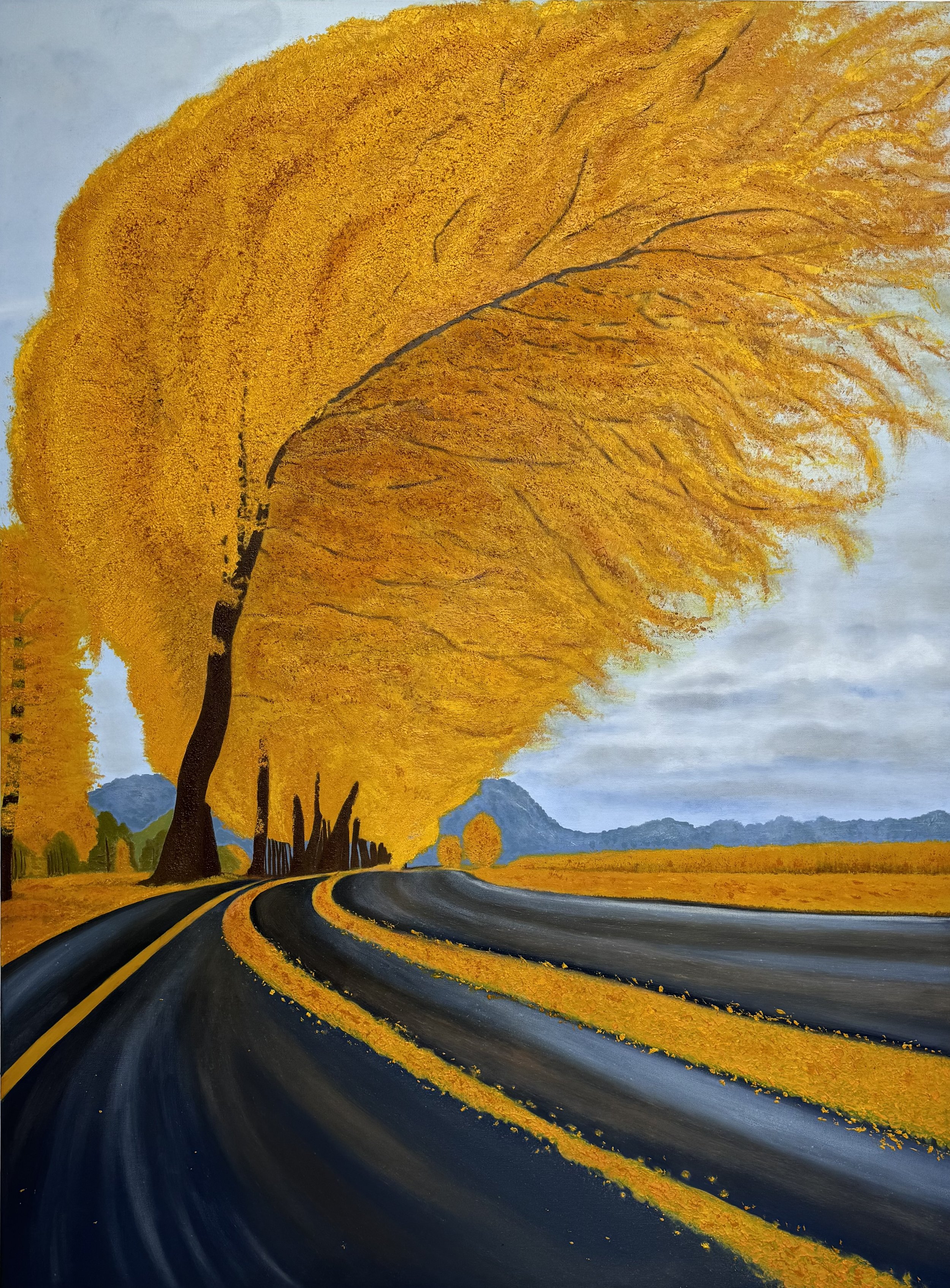 Photo Apr 30 2025, 16 44 49.jpg