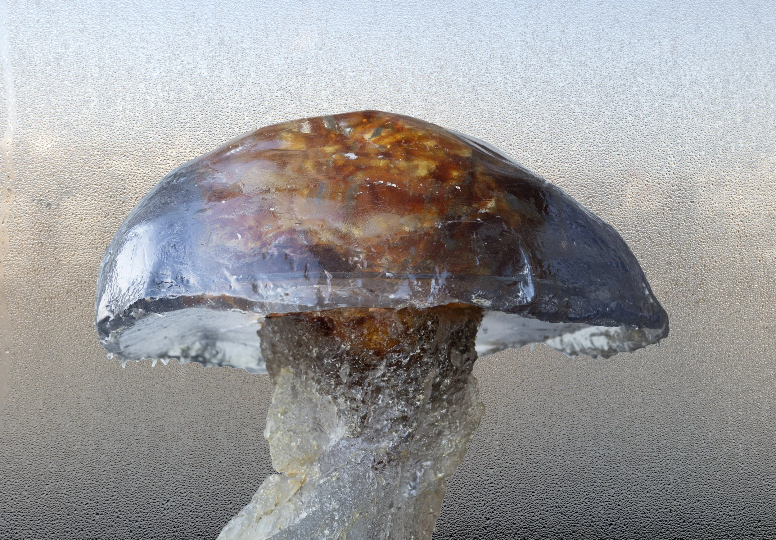 The Tentacles of the River (detail.jpg