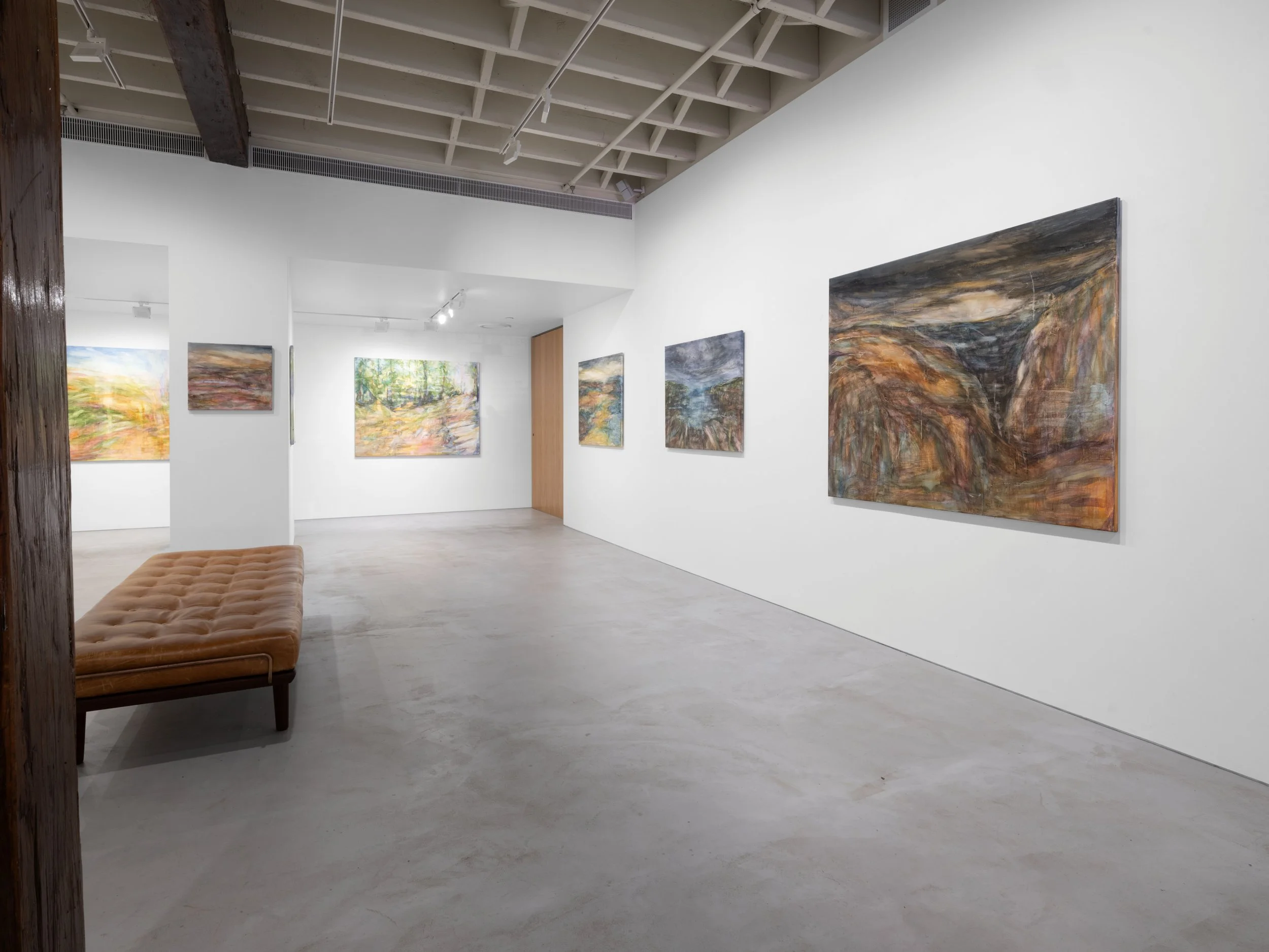 Amanda van Gils_The Shape of Whats True install 02.jpg