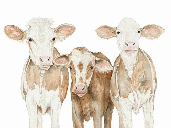 CIN-Cow-triple threat copy.jpg