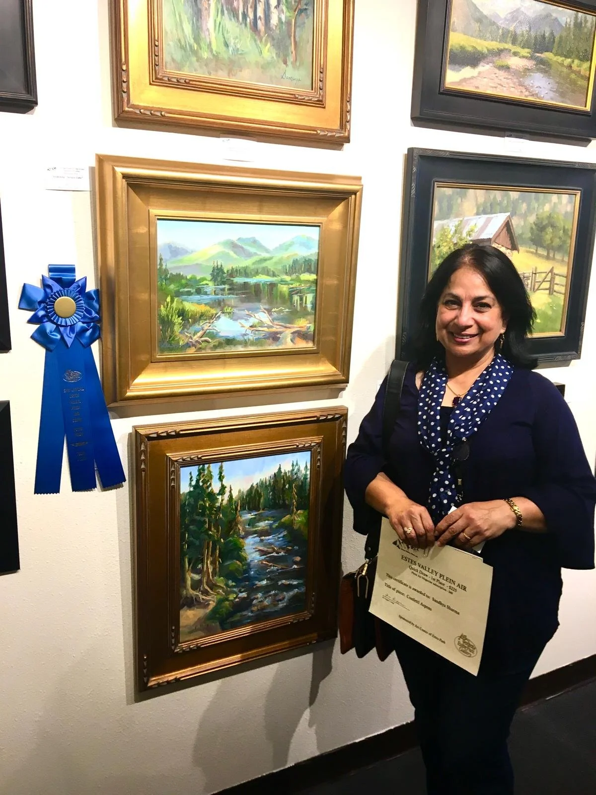 Award4QuickDraw_Estes Valley.jpeg