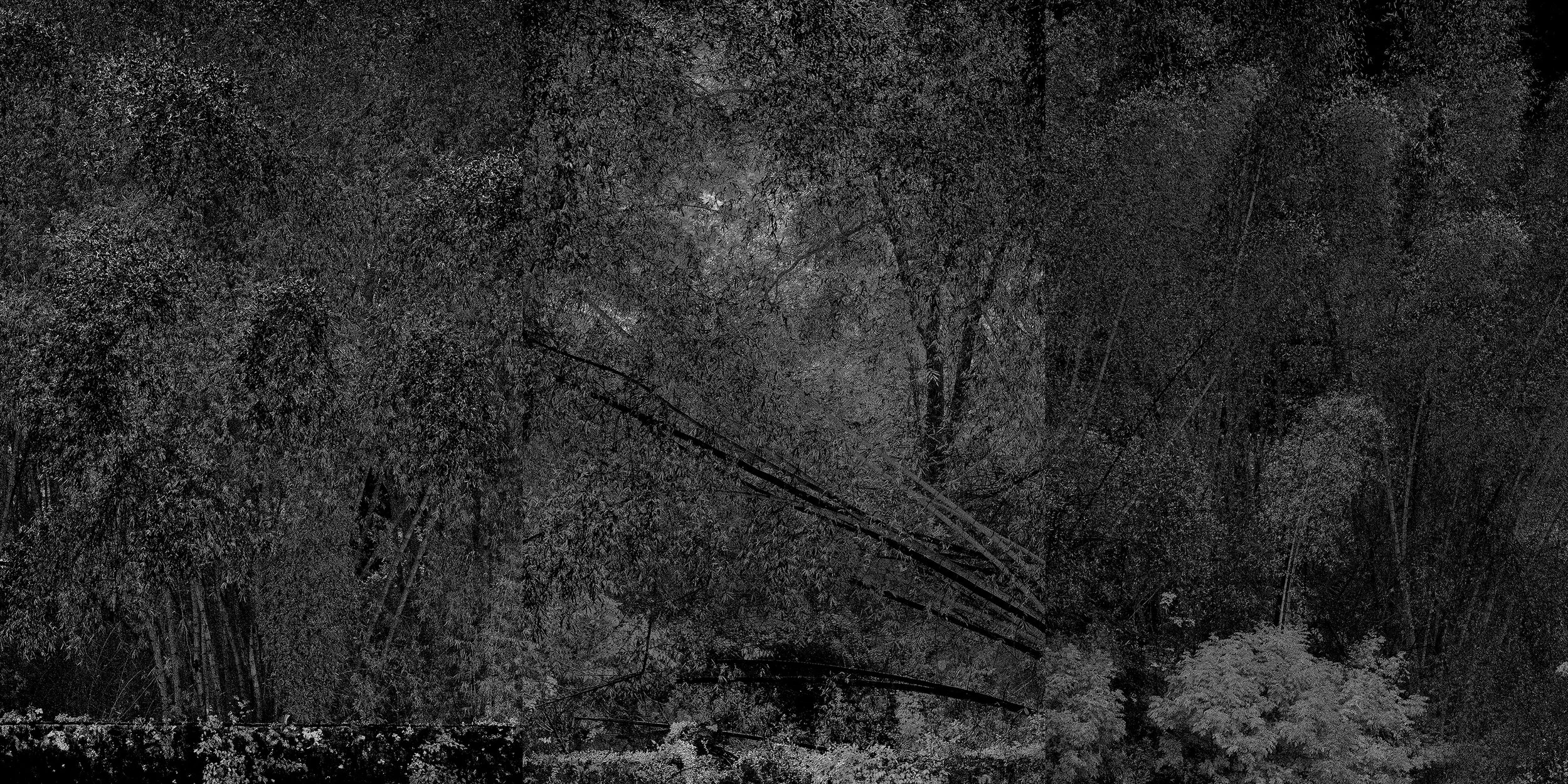 White Noise, 2017, Giclee Fine Art prints.jpg