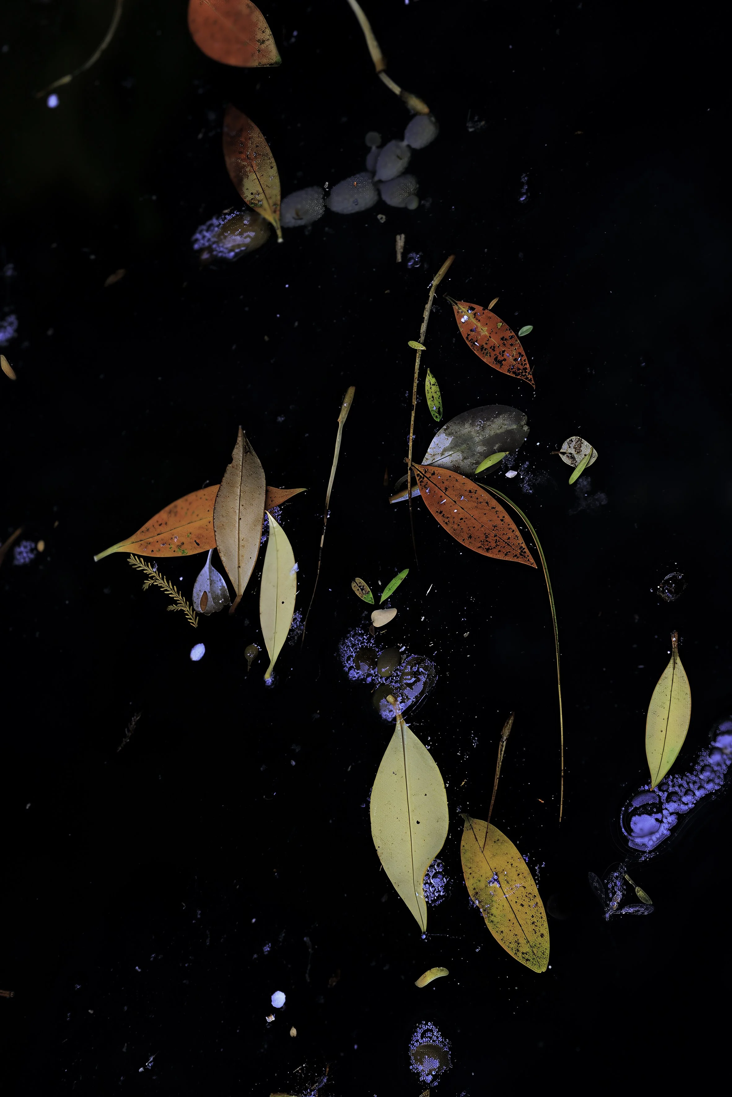 Time As Aqueous Medium #4_Katya Shkolnik.jpg