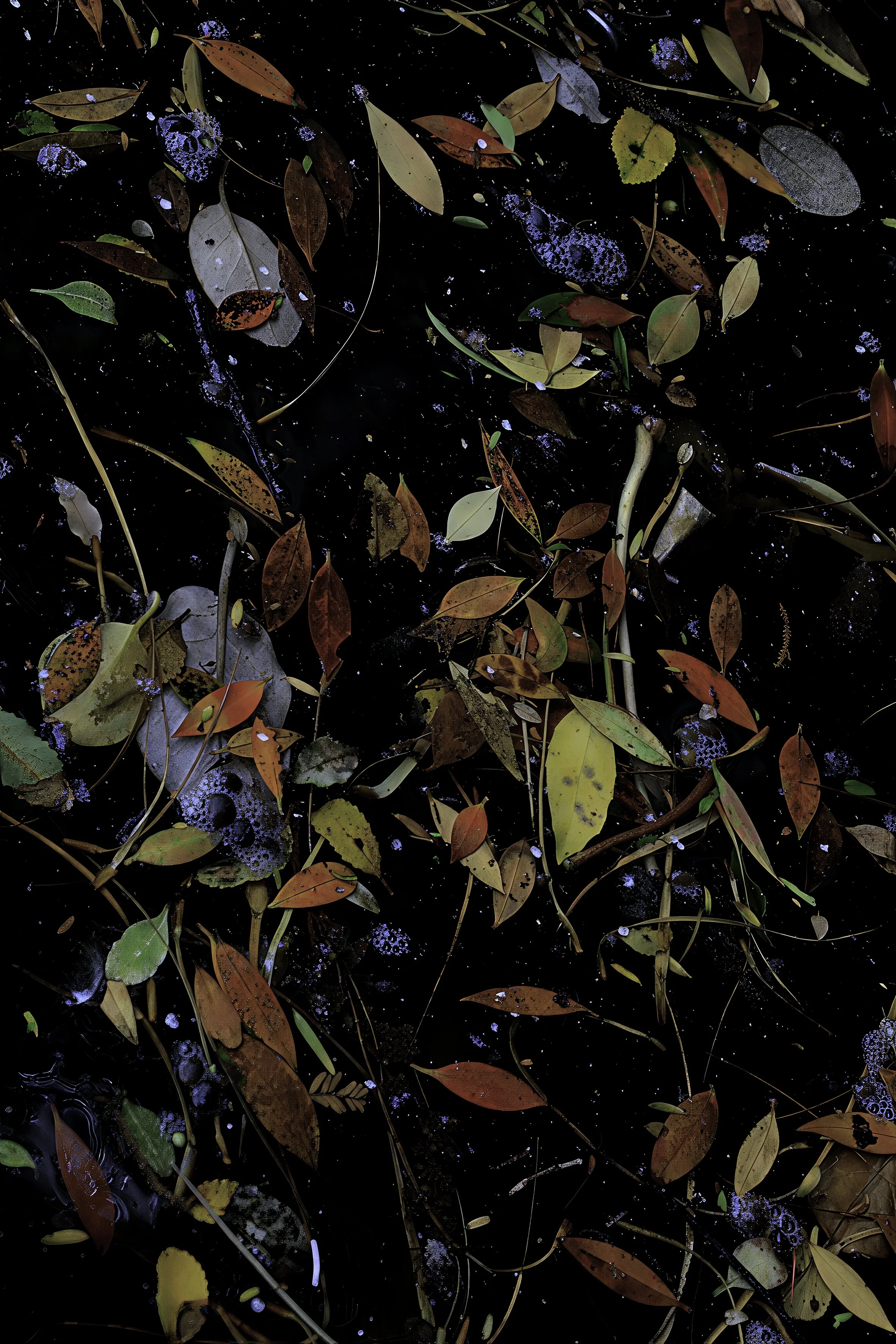 Time As Aqueous Medium_Katya Shkolnik.jpg