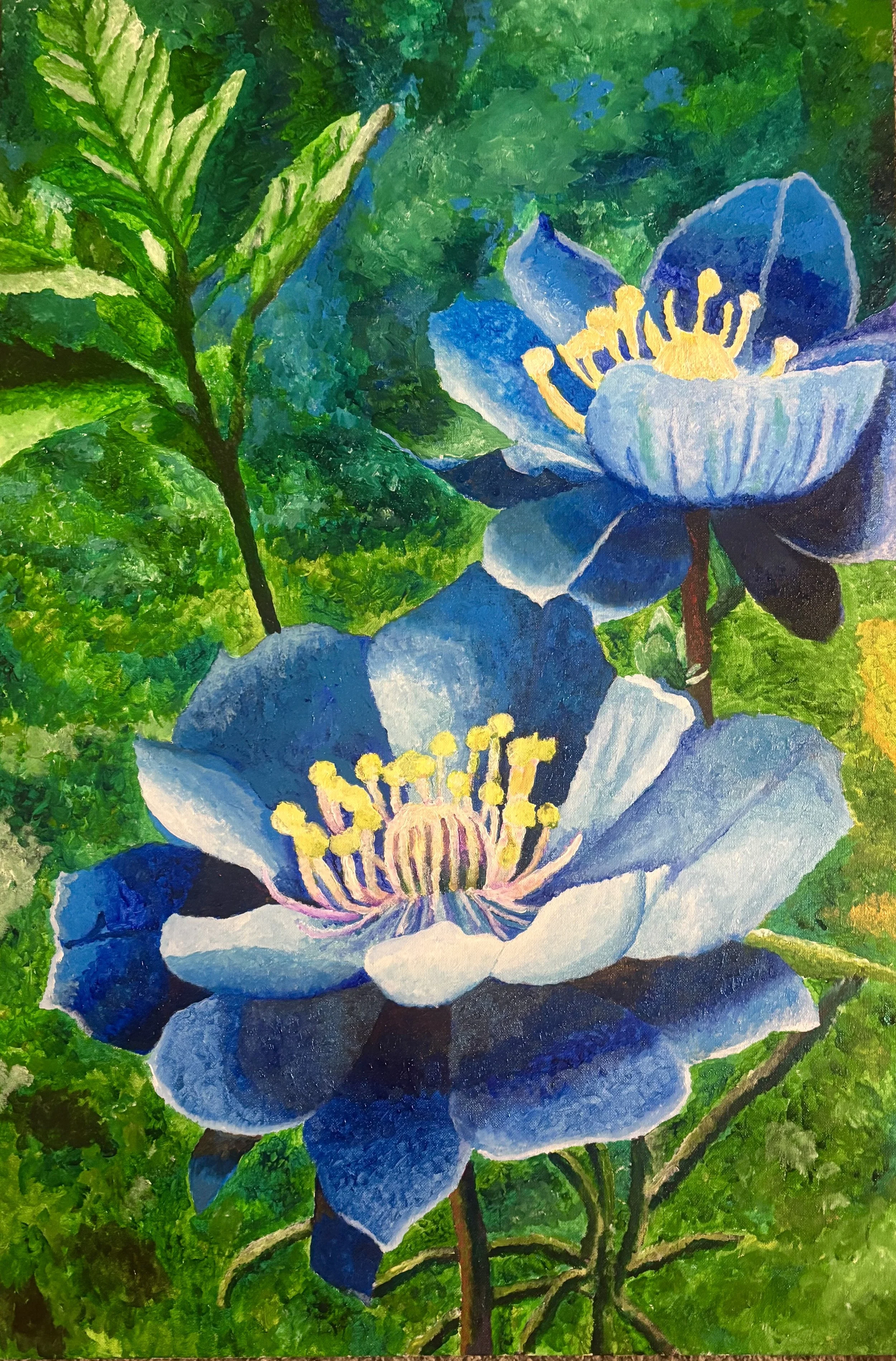 The Colorado Blue Columbine