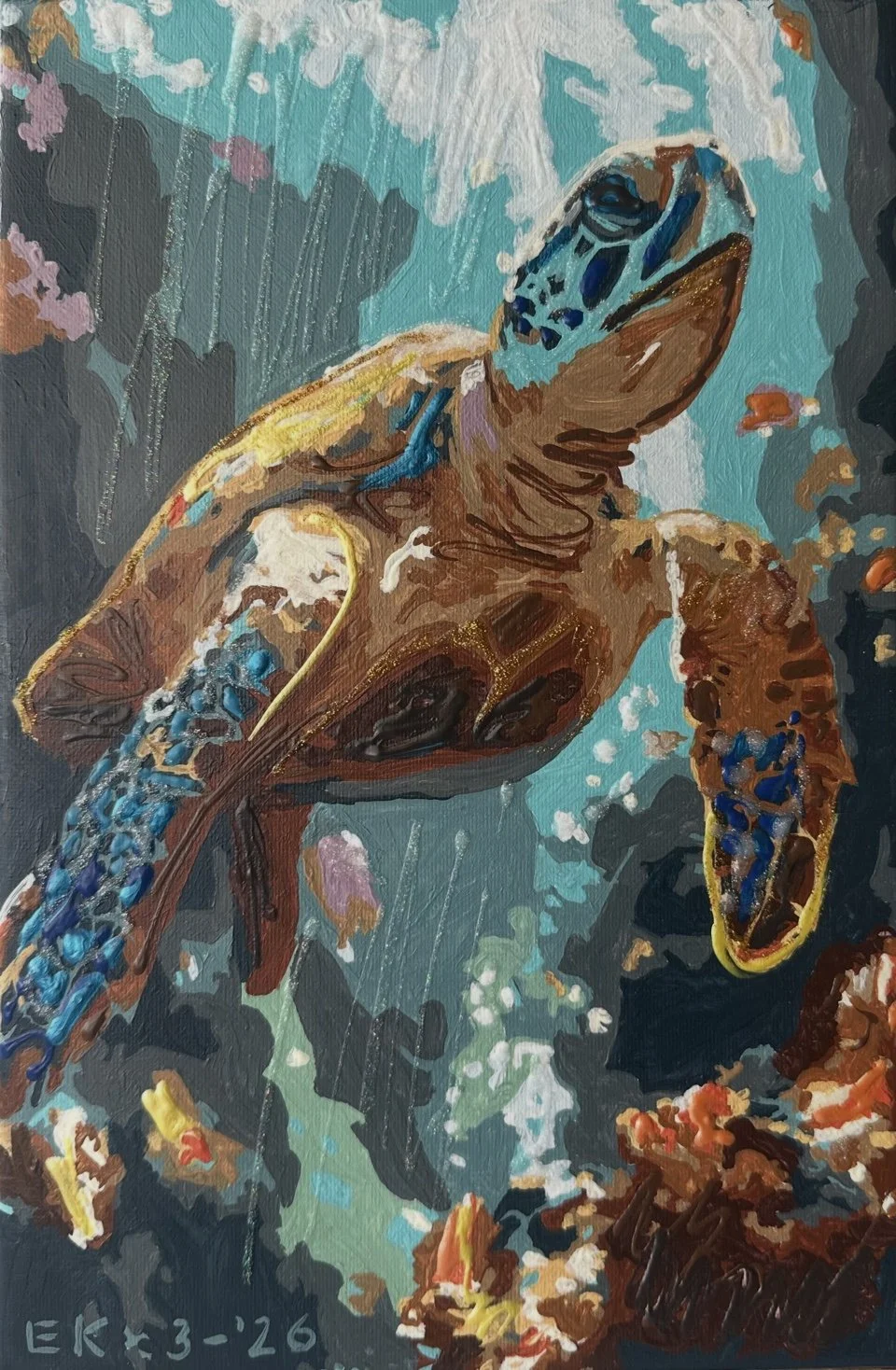 sunlit_turtle.jpg