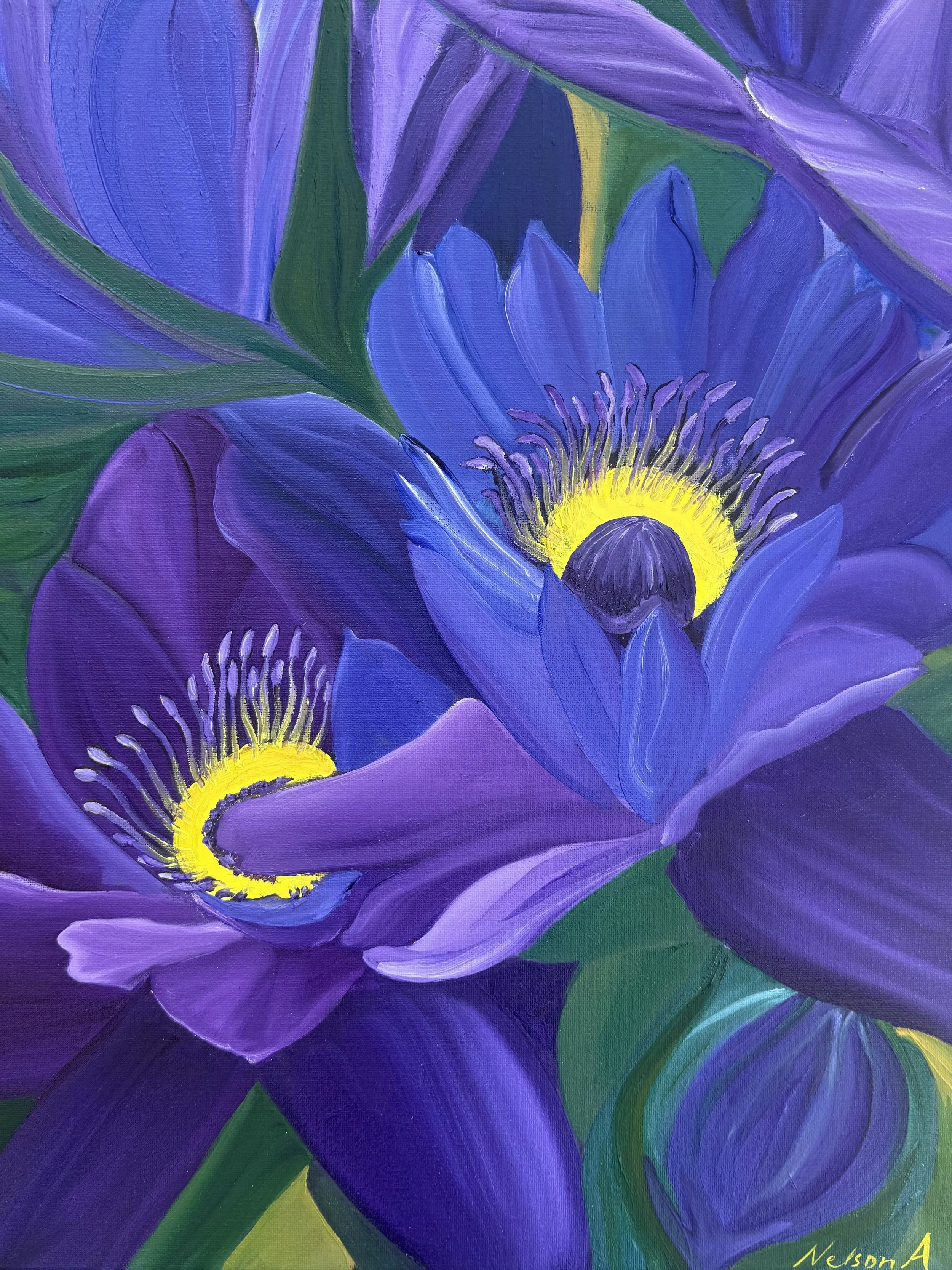  Purple water Lilly