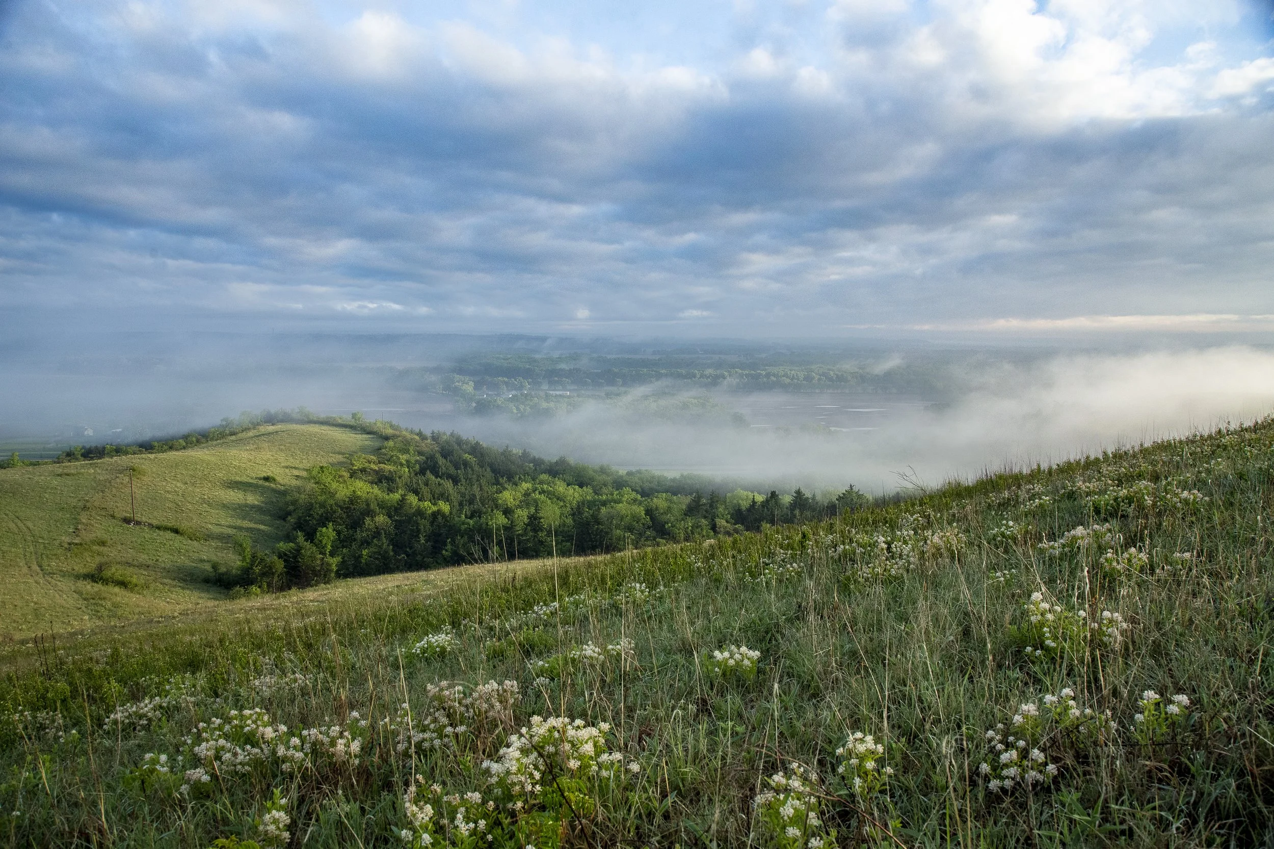 _MG_8053-HDR.jpg