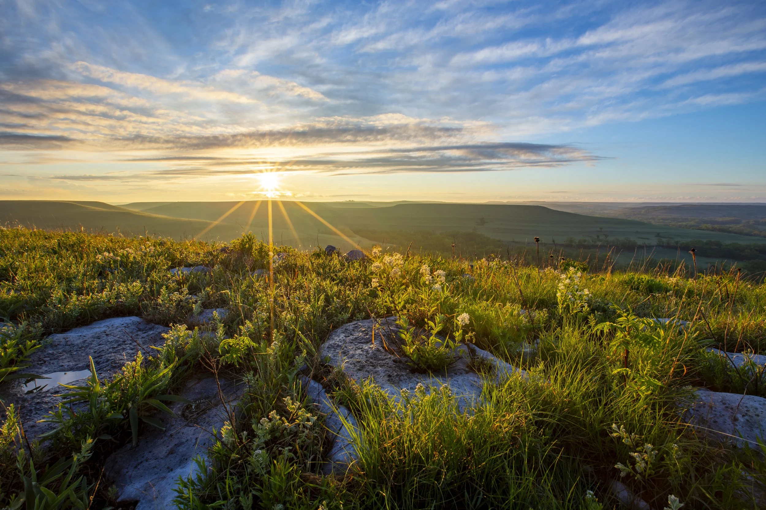 _MG_8000-HDR2.jpg