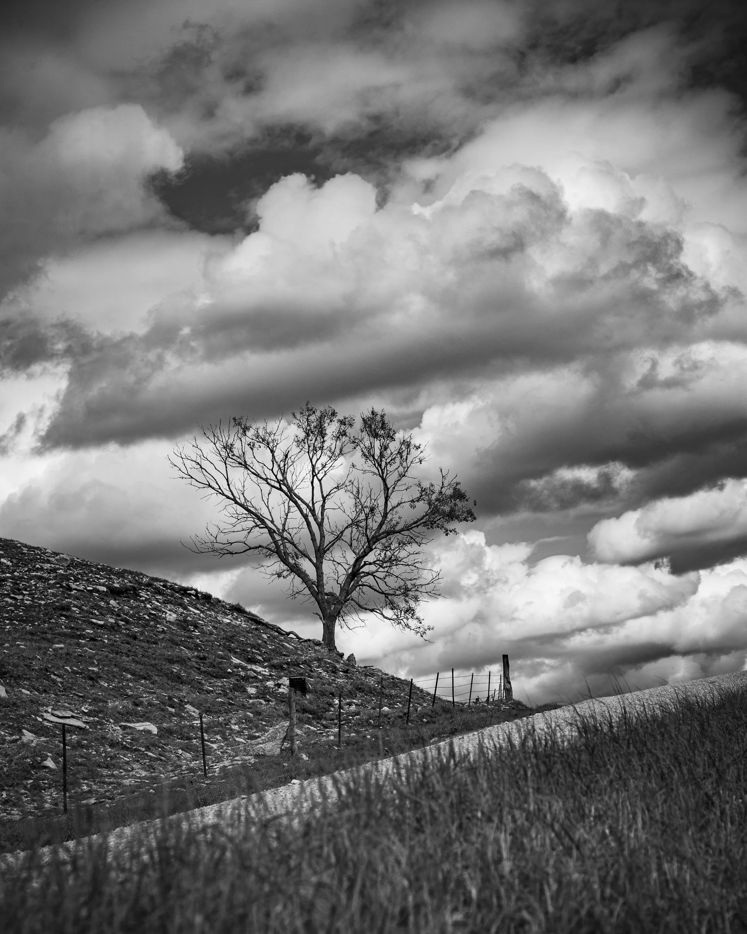 _MG_7783.jpg