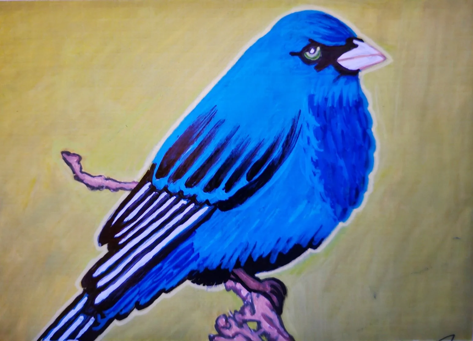  Indigo Bunting