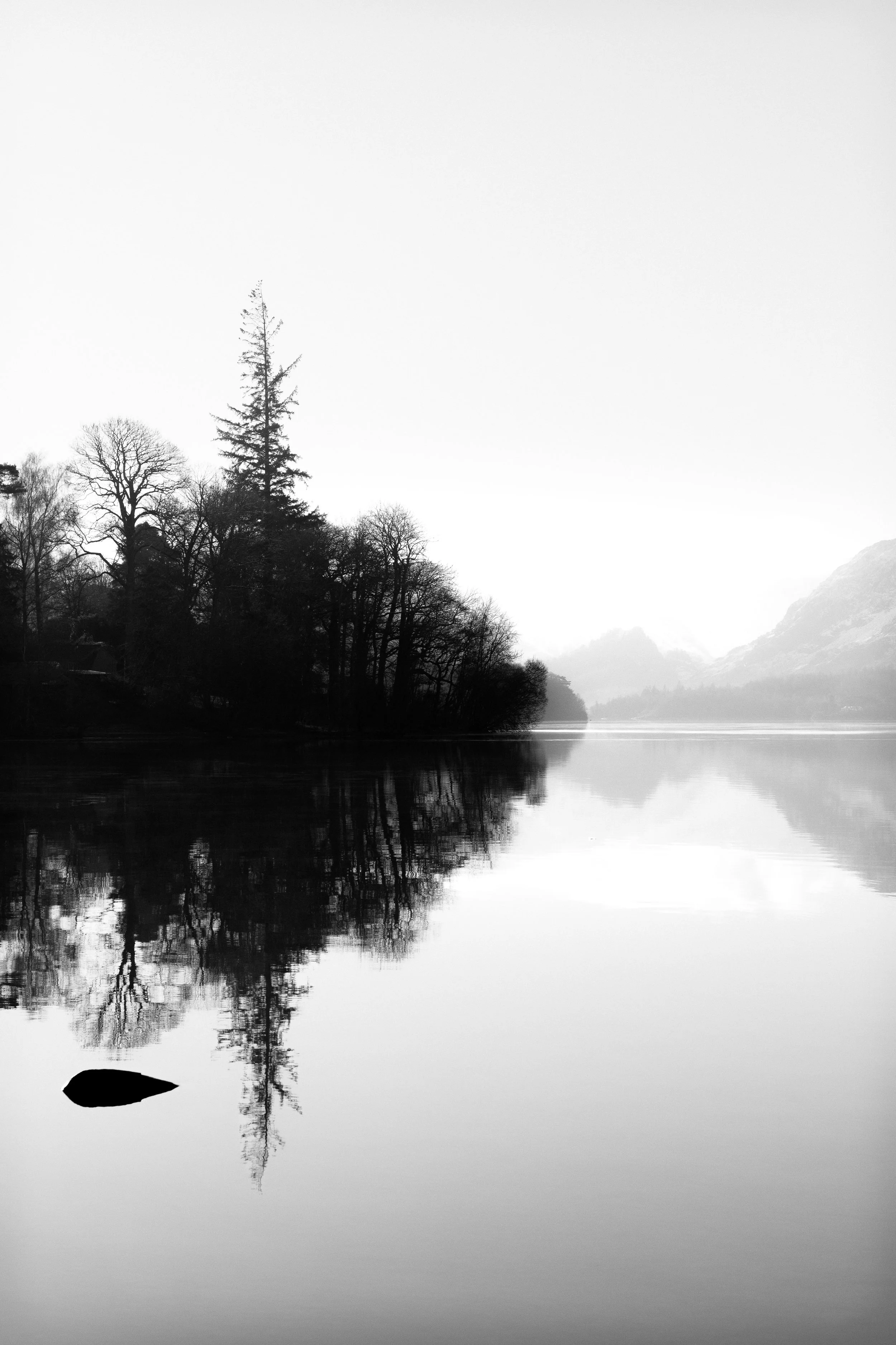  What Beauty Waits In Time