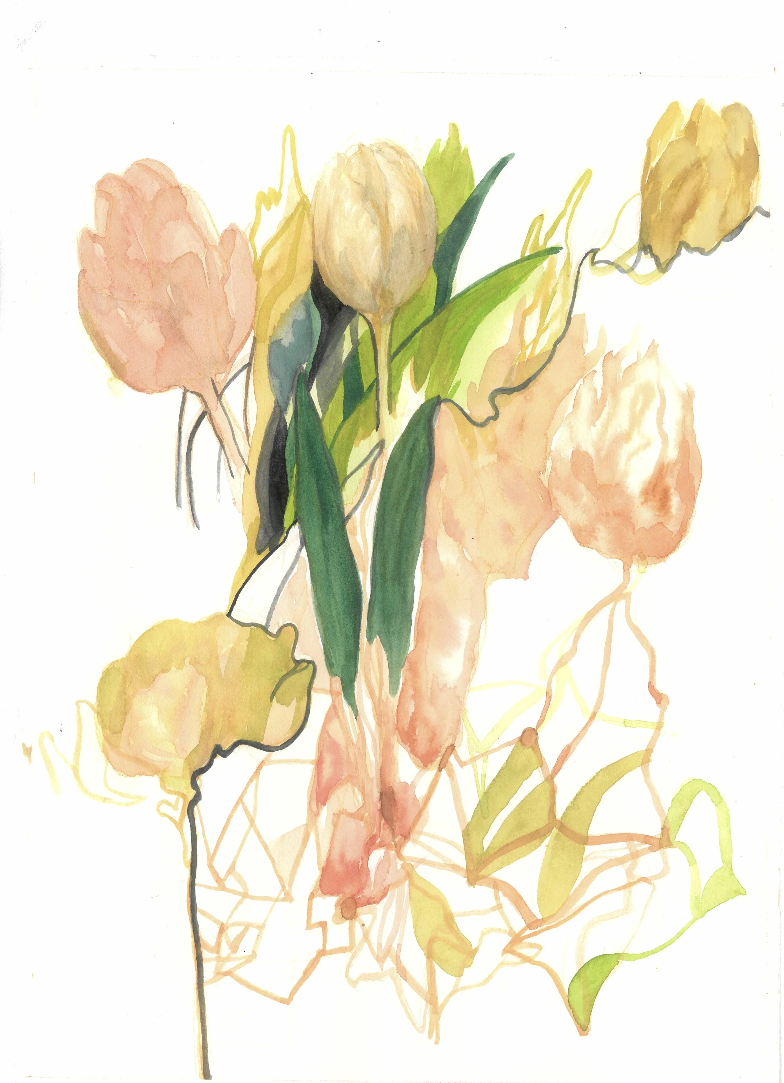 Tulip_Beyond the Petals.jpg