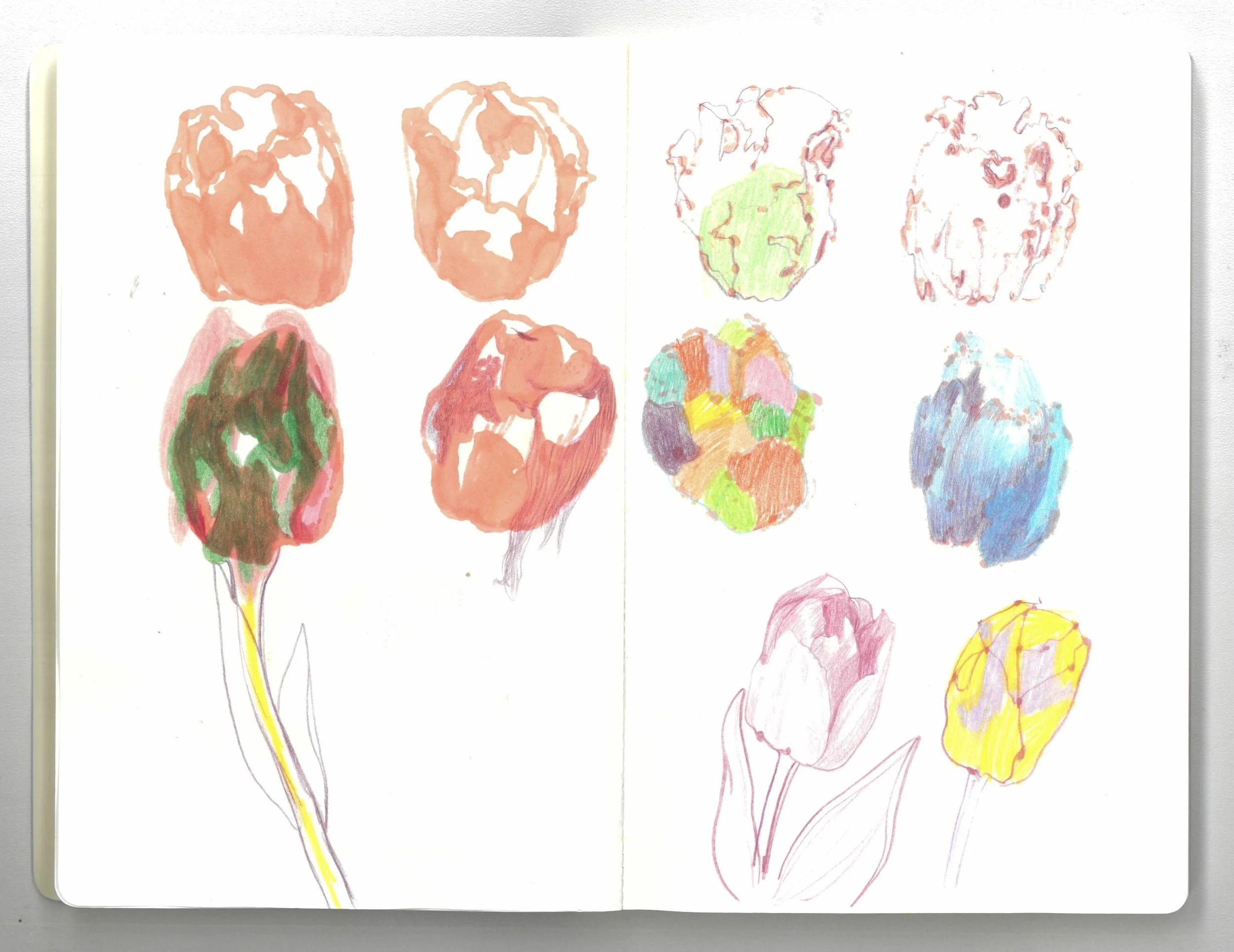 the sketches of flowers_2.jpg