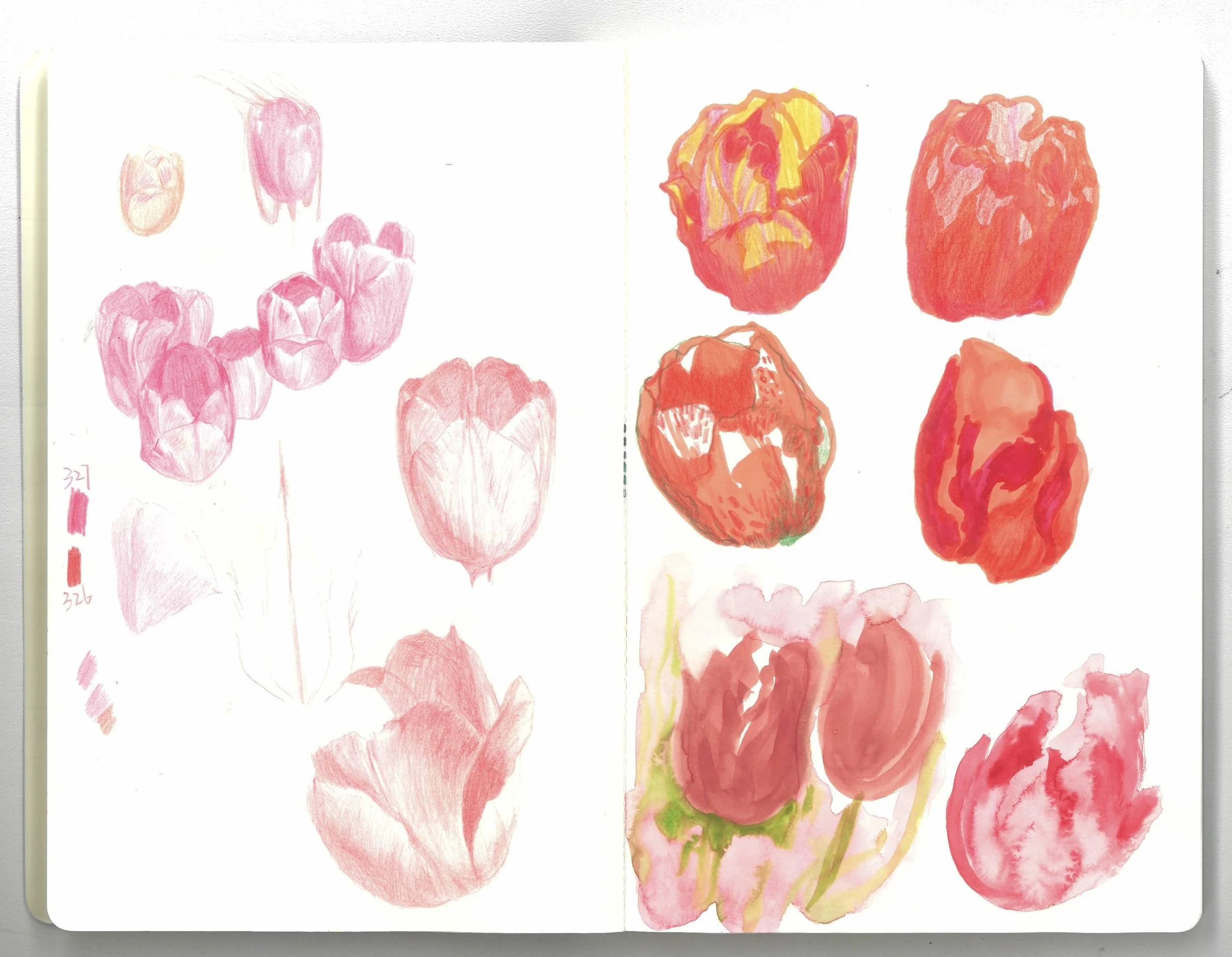 the sketches of flowers_1.jpg
