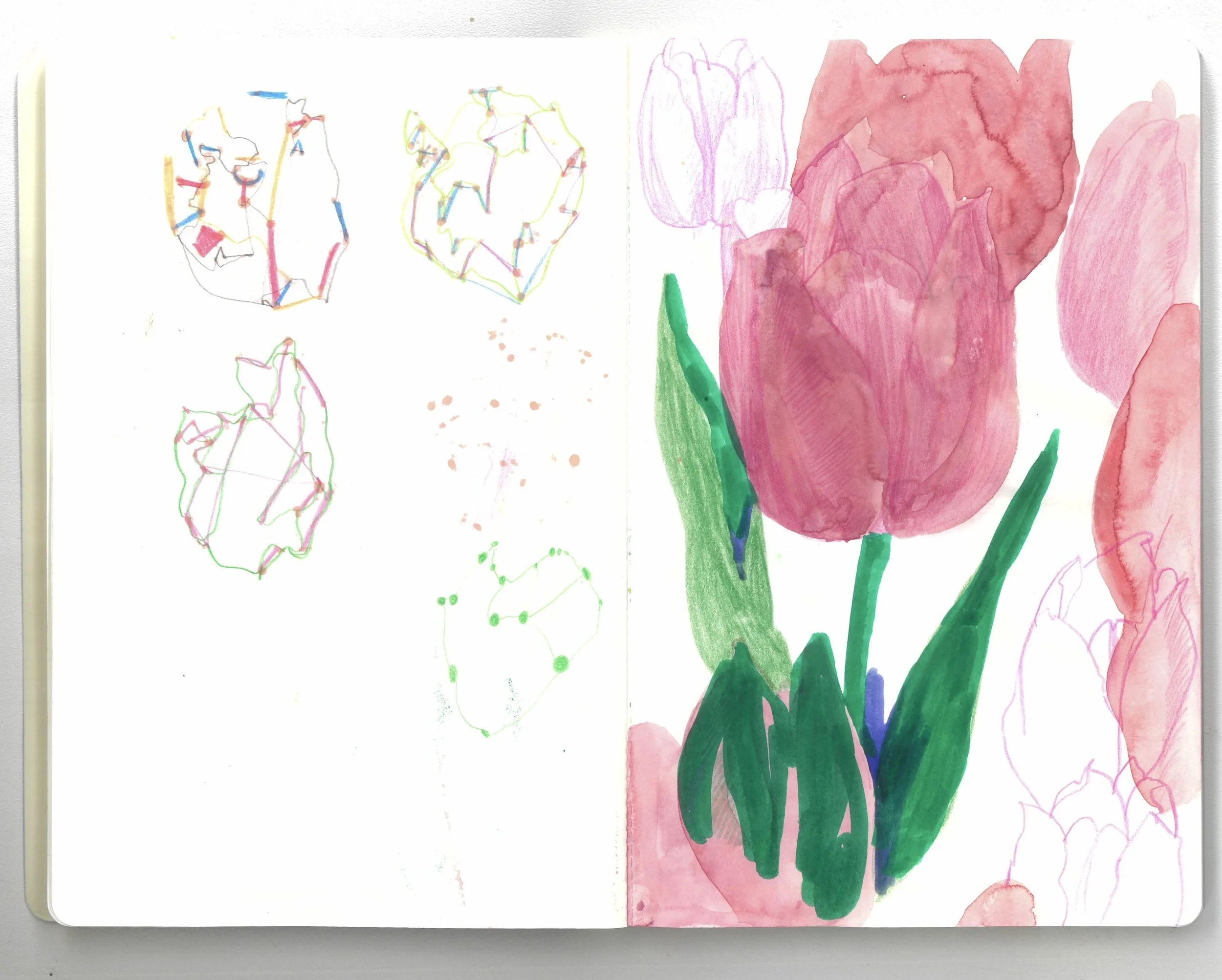the sketches of flowers_3.jpg