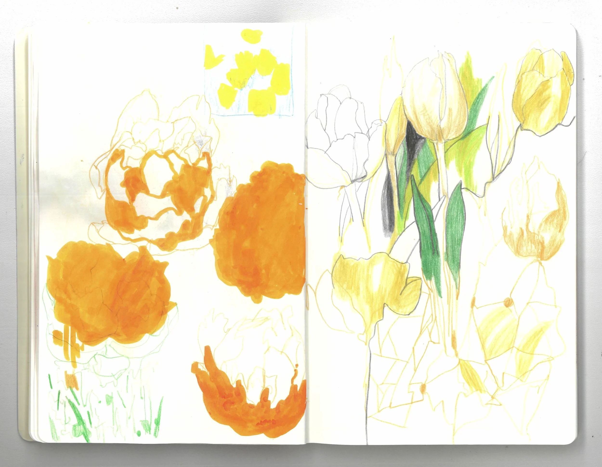 the sketches of flowers_4.jpg