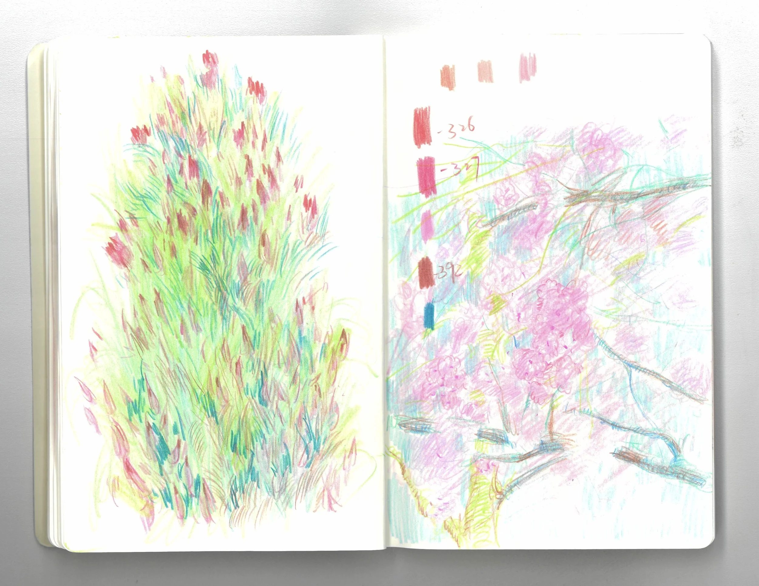 the sketches of flowers_6.jpg
