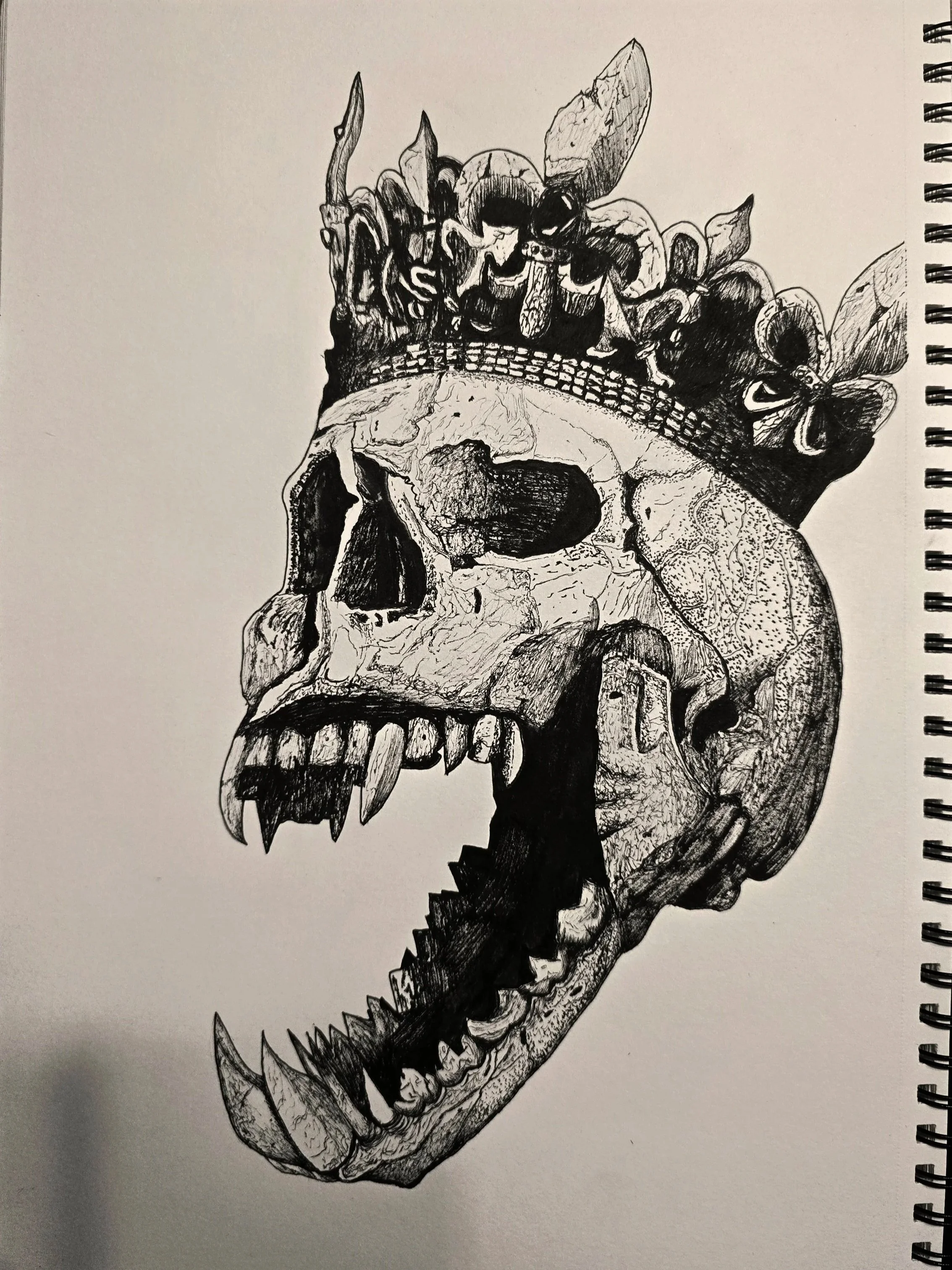  Skull King