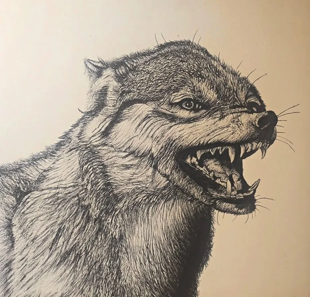  Nordic wolf