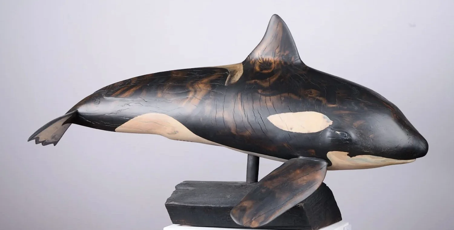 Morgn The Orca.jpg