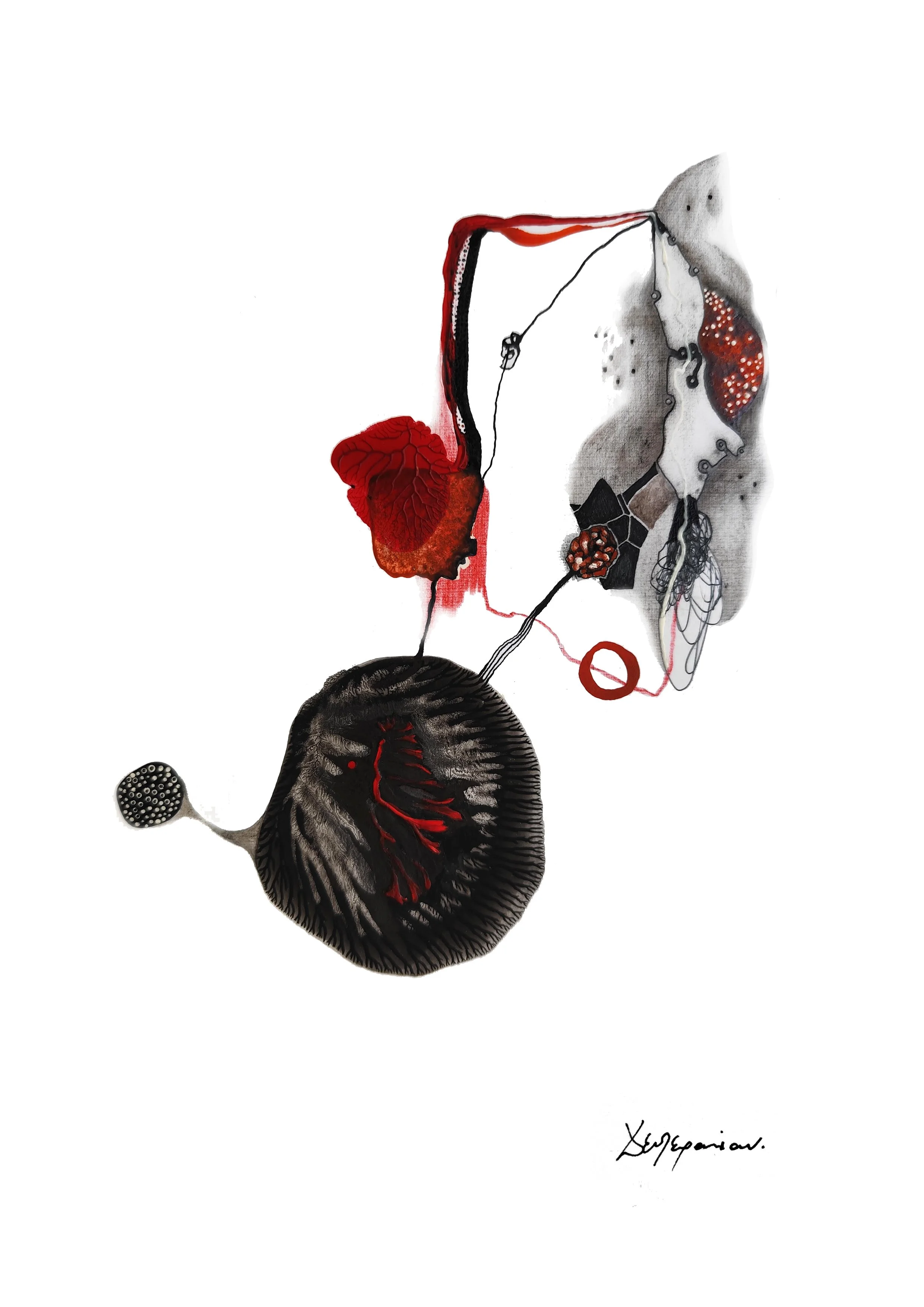 Anatomia dell’oceano