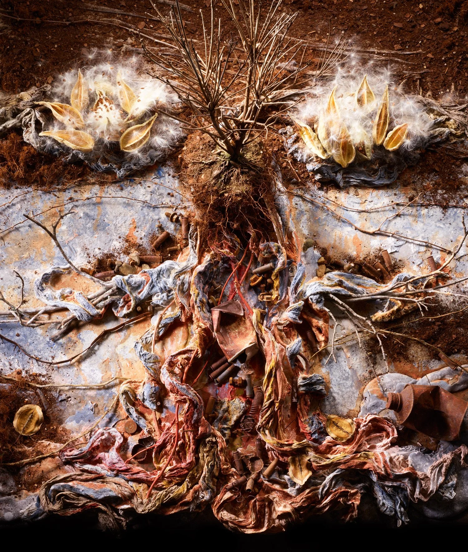 Zaslow_Delirium_Elements Series.jpg