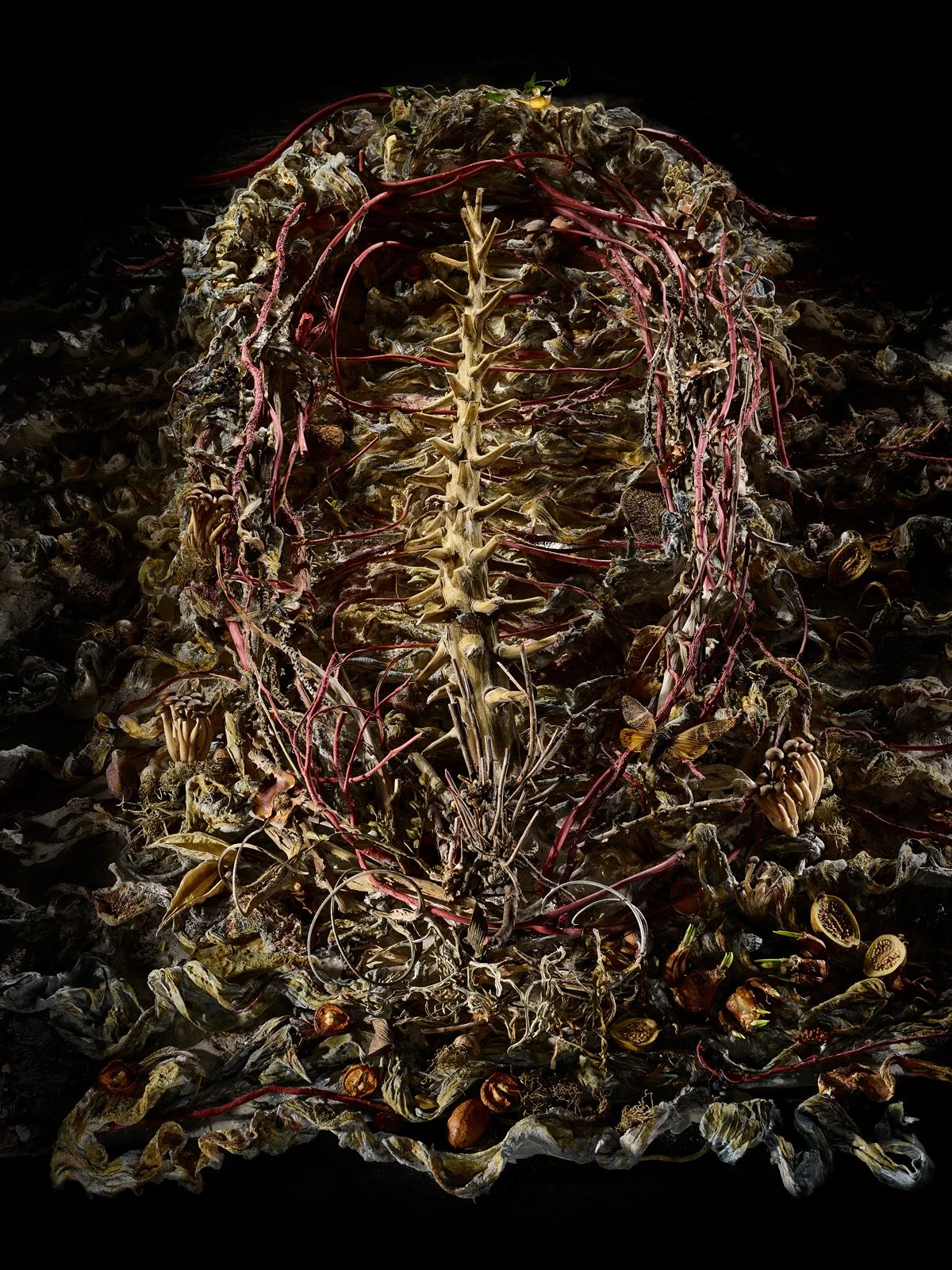 Zaslow_Inner Strength_Elements Series.jpg