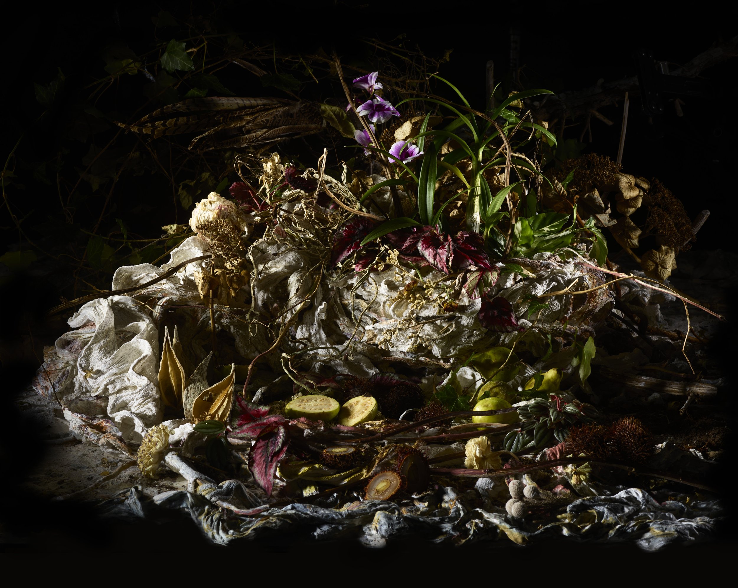 Zaslow_Deep Breathing_Elements Series.jpg