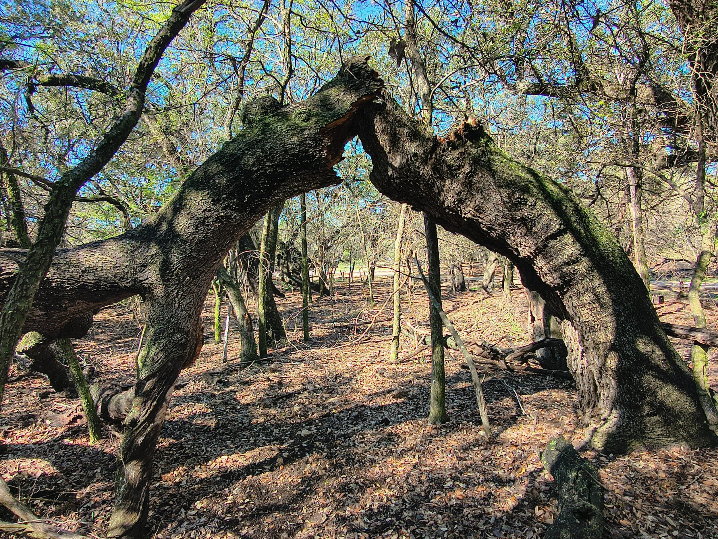  Ancient Gateway/Archway