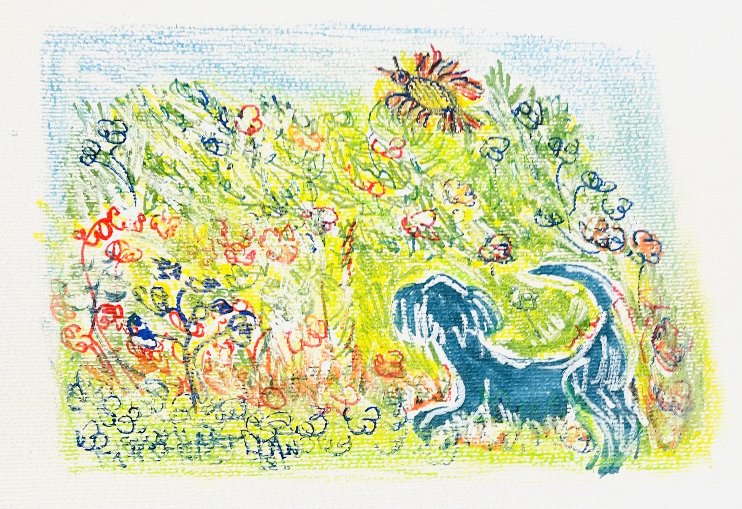  Exploring blue dog