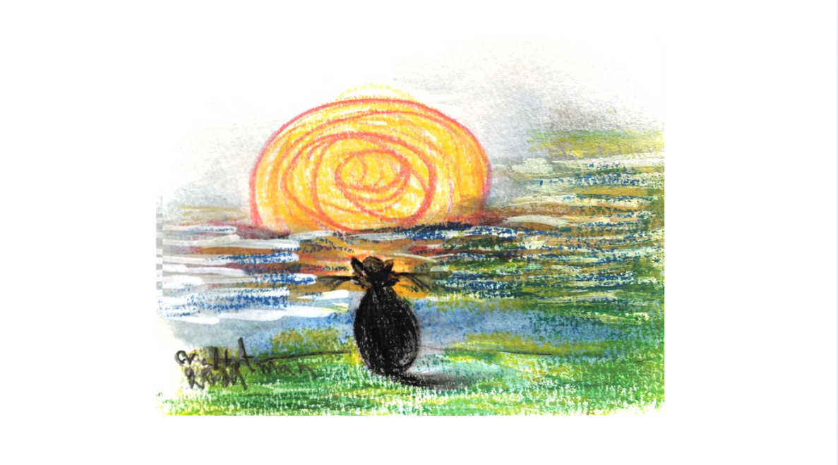  Contemplating cat