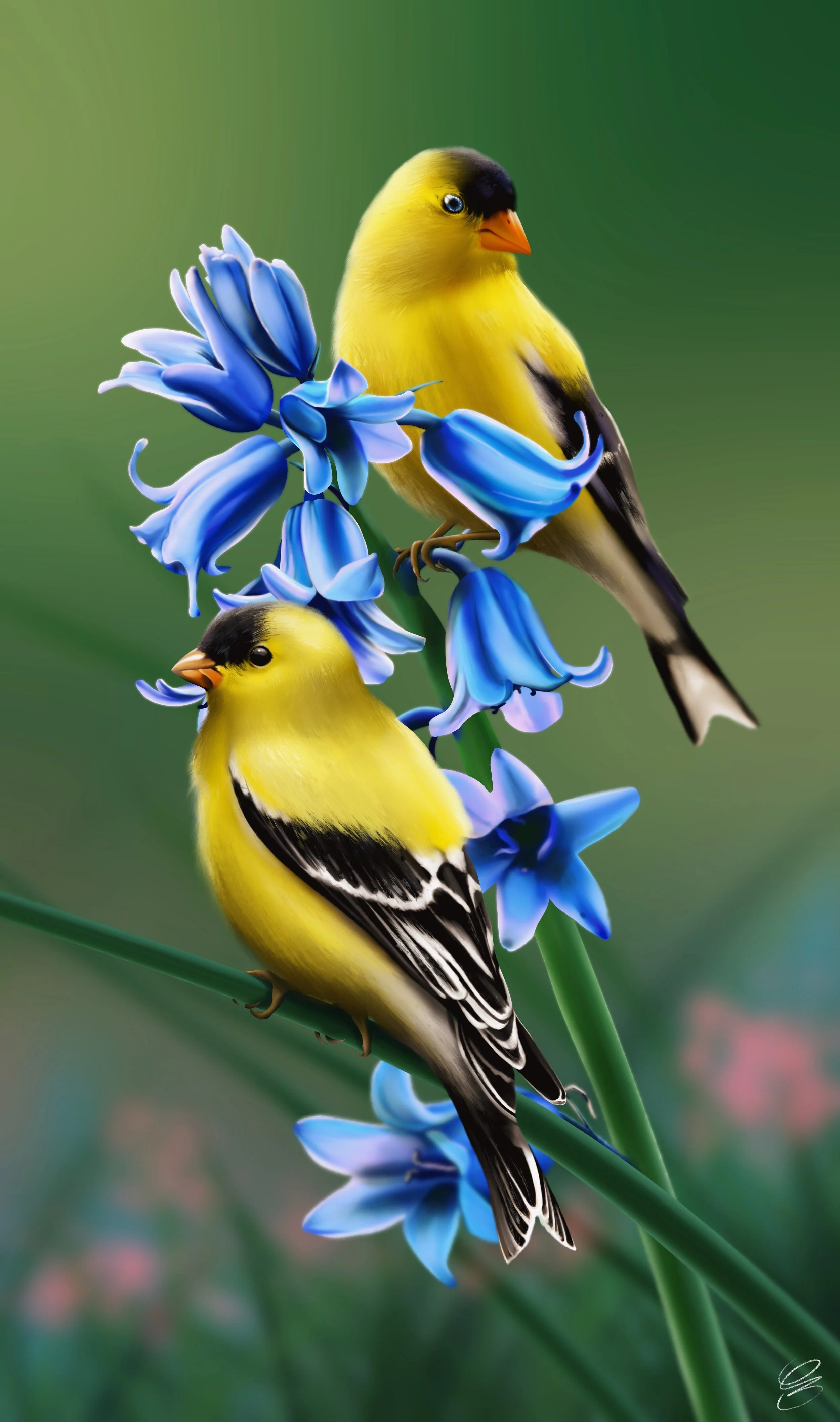136599693_08441ccbd7804d8eba68cd7c33b3f40a__yellow_finches_in_spring_jpeg.jpeg